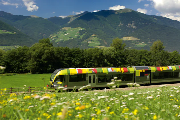Zug Vinschgerbahn Blumenwiese