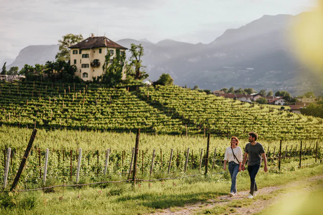 Strada del Vino dell'Alto Adige