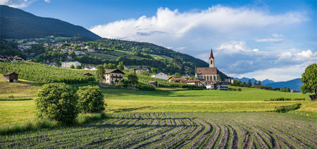 Panoramic way in Velturno/Feldthurns Feldthurns/Velturno 1 suedtirol.info