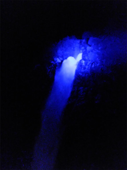 Natural heritage Partschinser Wasserfall/Cascata di Parcines  10 suedtirol.info