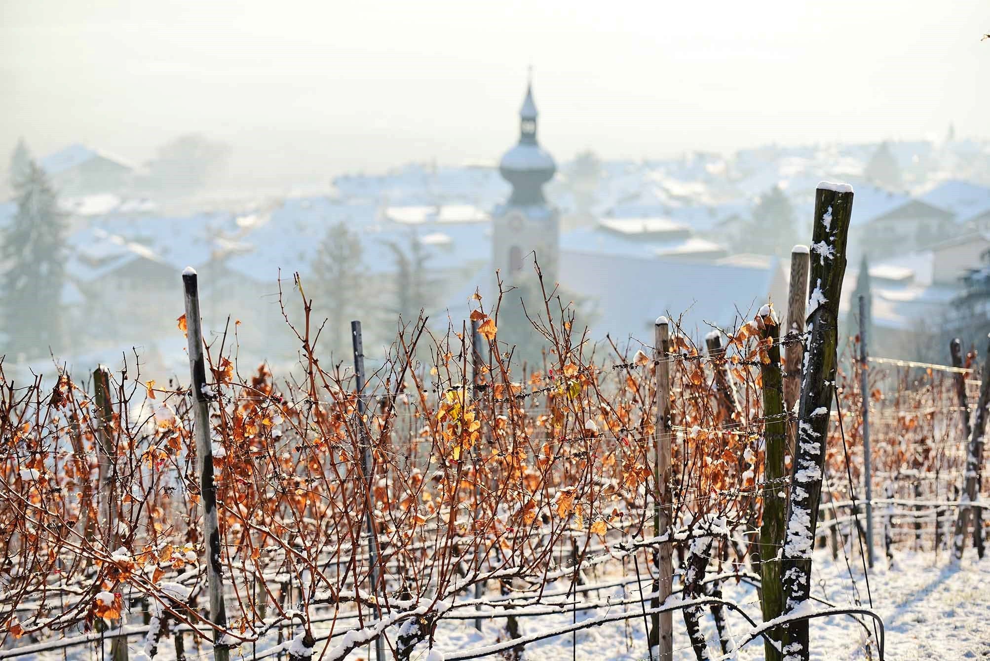 Nals an der Südtiroler Weinstraße