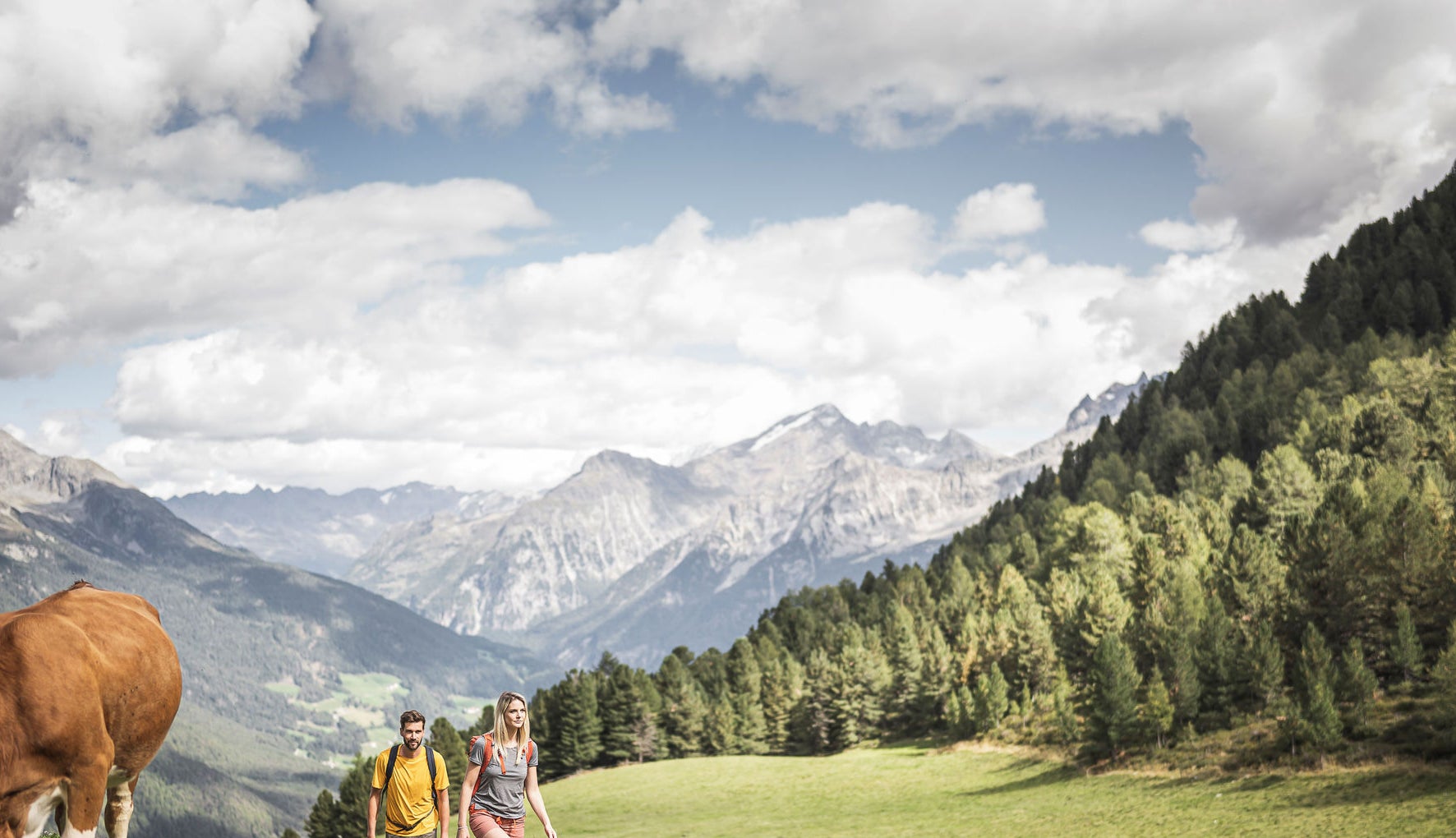 Wandern über Almen im Ahrntal