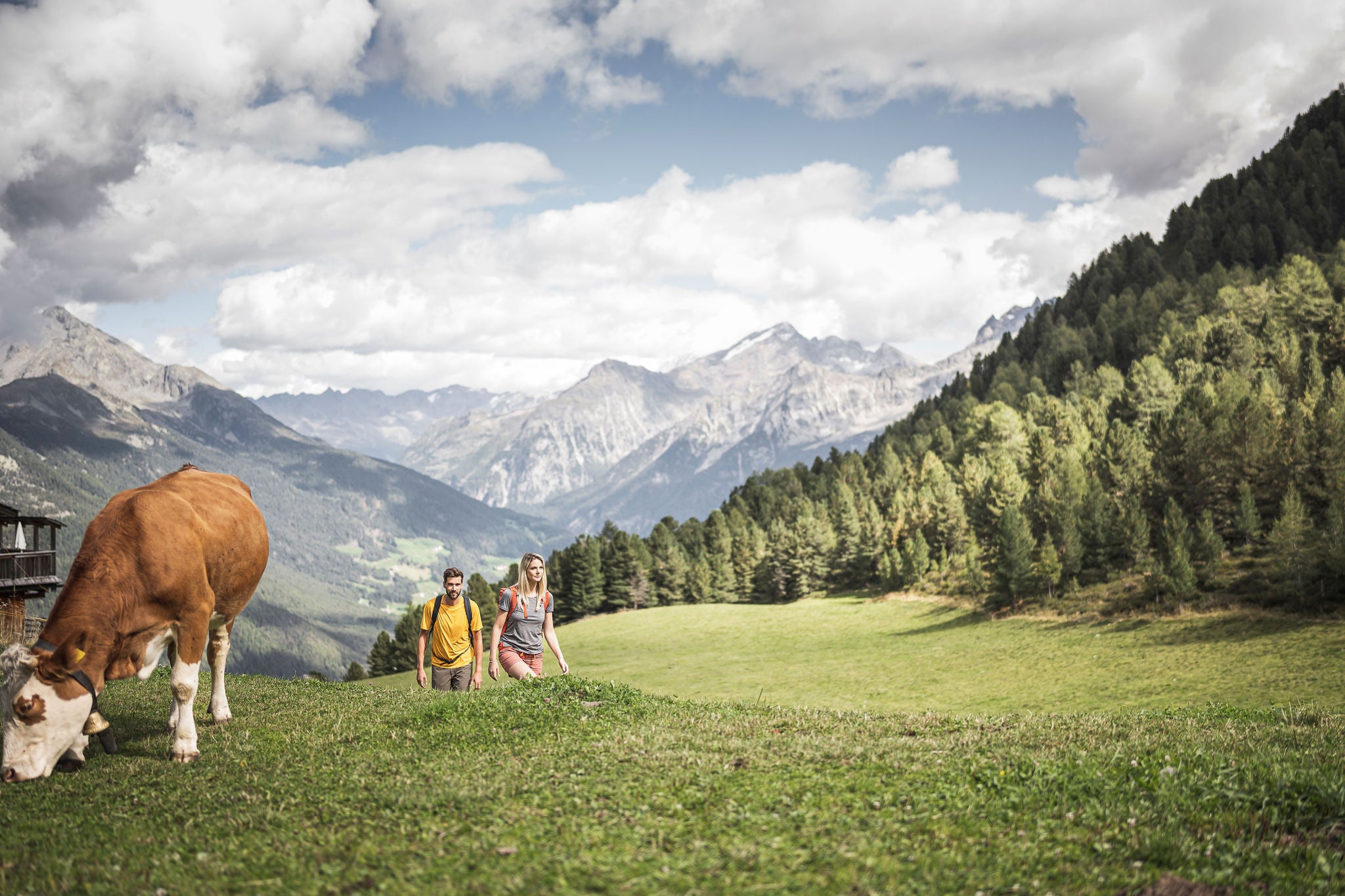 Wandern über Almen im Ahrntal