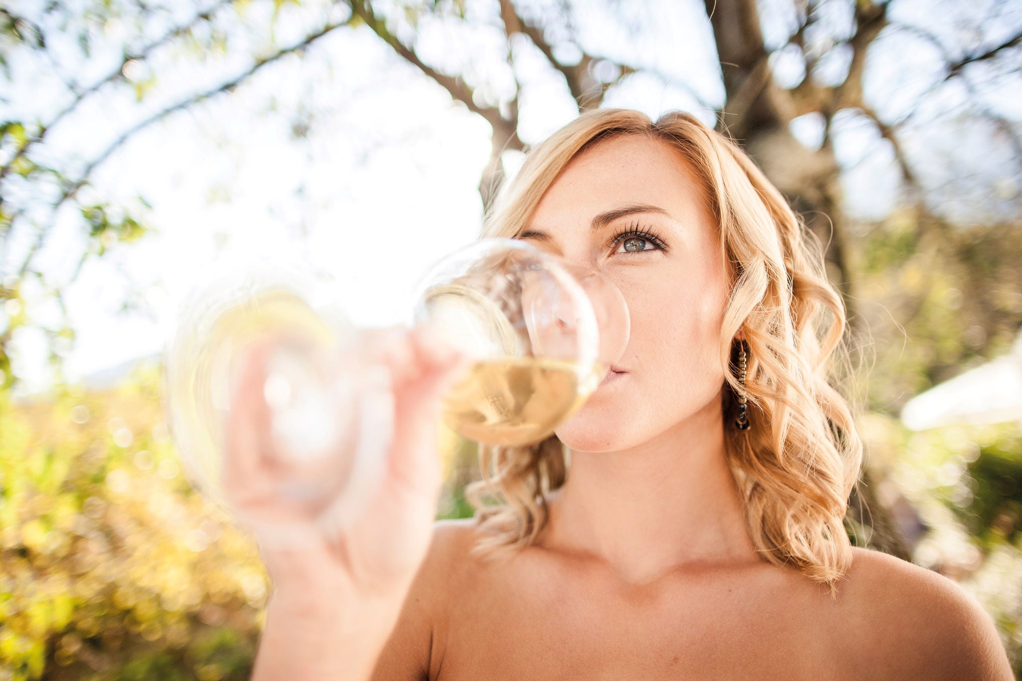 WineSafari - eine Veranstaltungsreiche an der Südtiroler Weinstraße