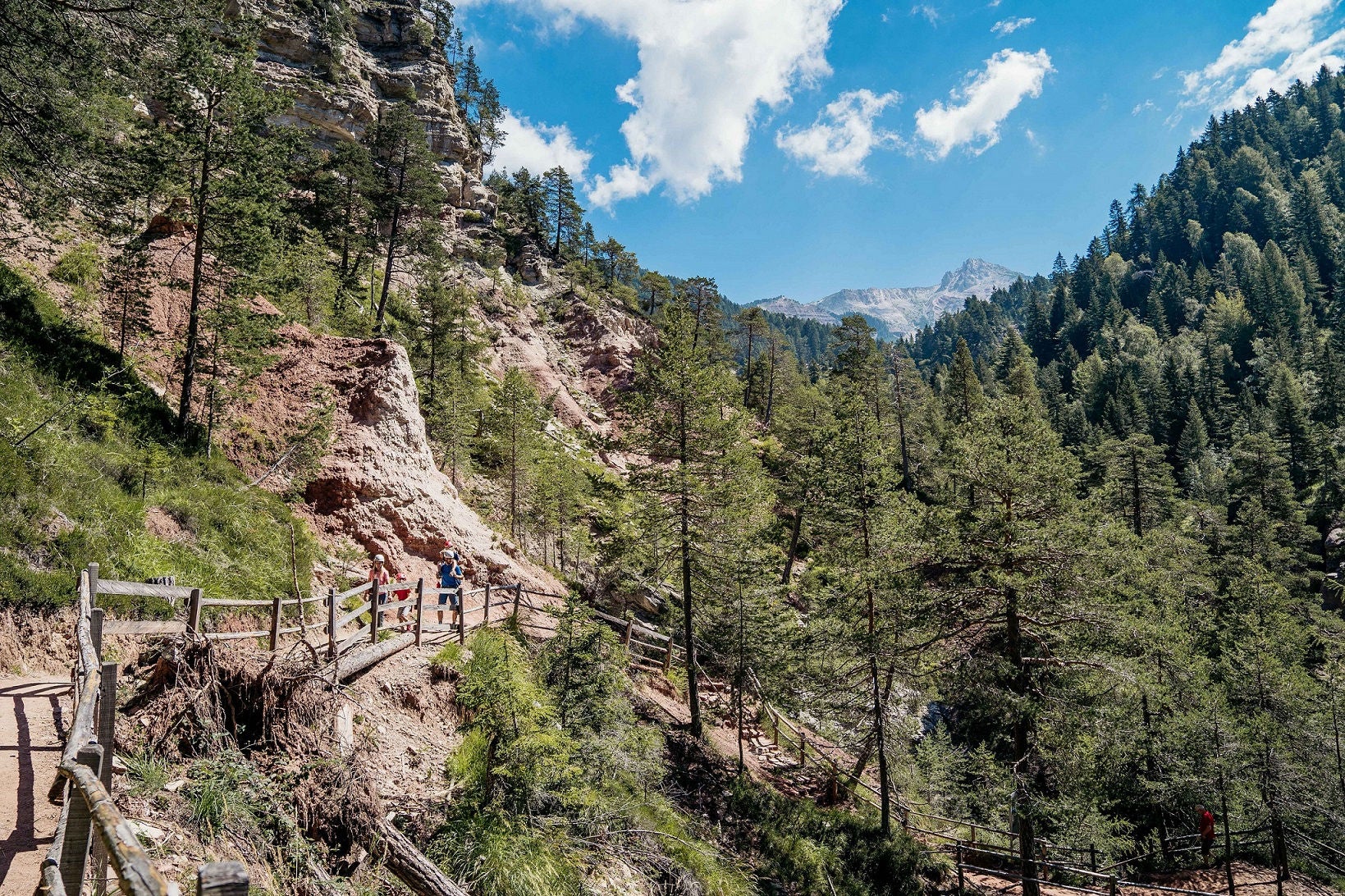 Zwei Freunde wandern bei Aldein und Radein im Sommer