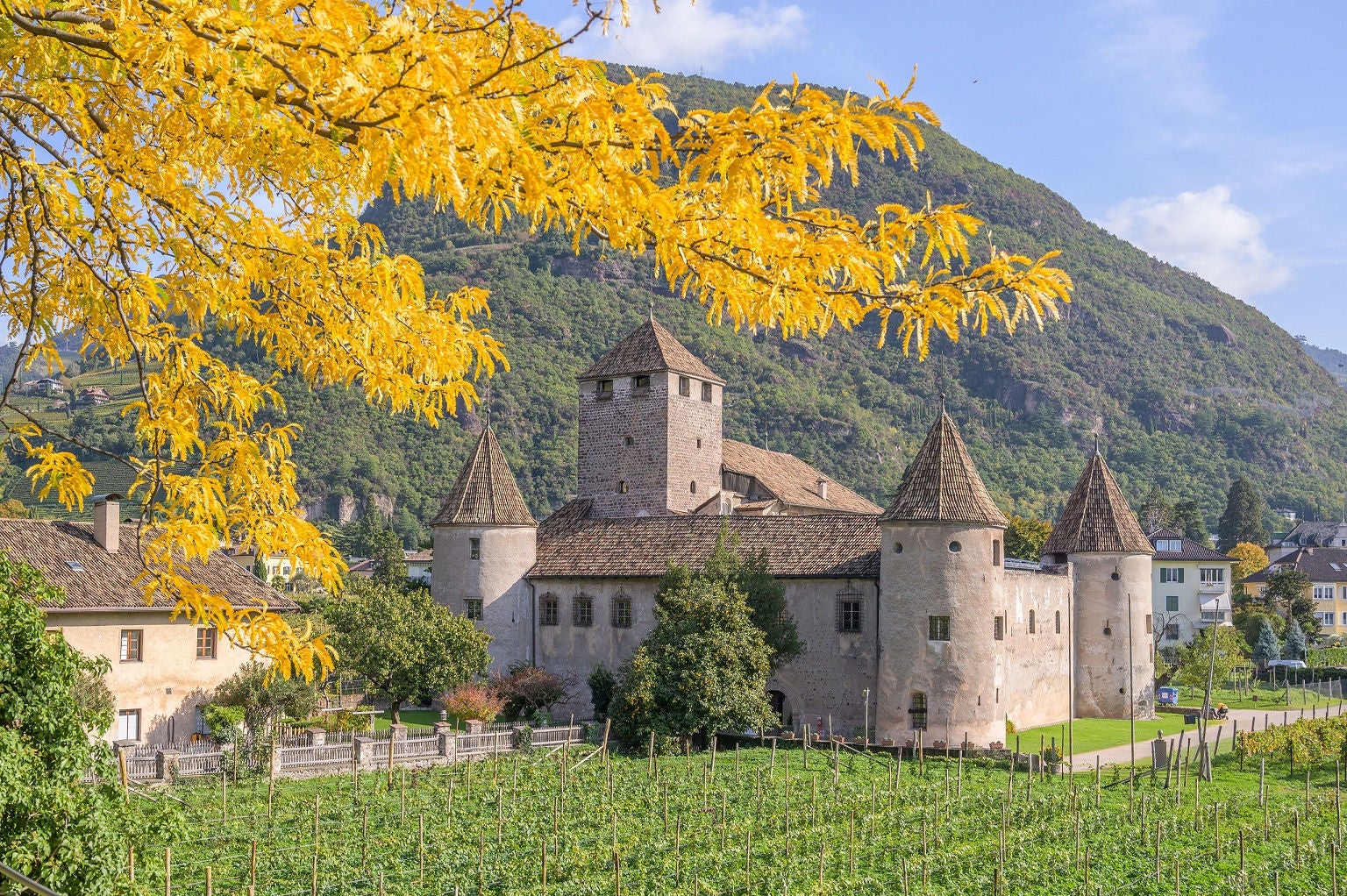 Gefärbtes Herbstlaub und das Schloss Maretsch inmitten von grünen Reben