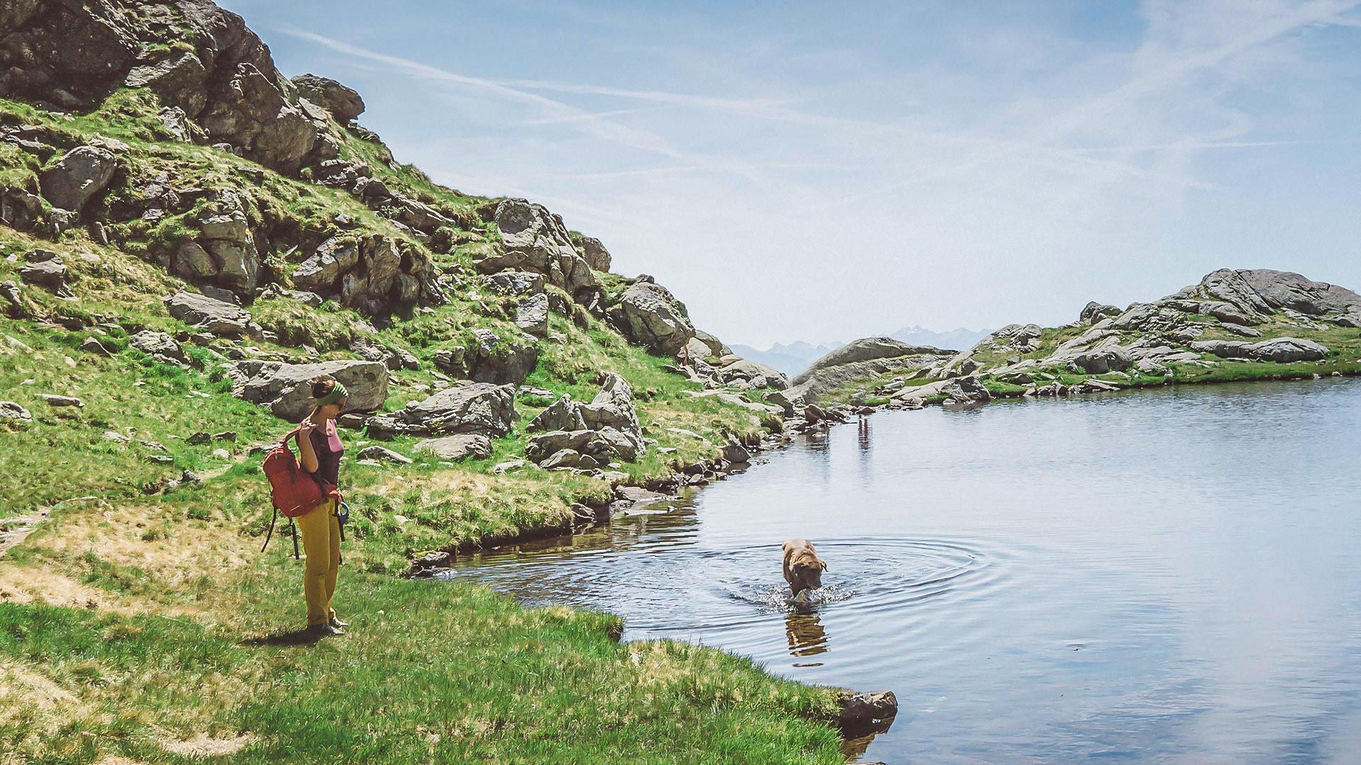 Mit dem Hund in die Berge