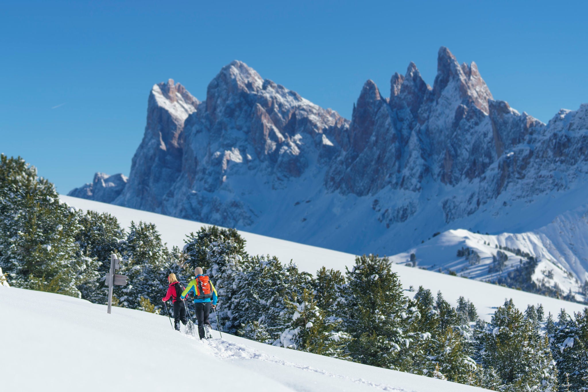 Schneeschuhtour RaschÃ¶tz-Geisleralm: Geislerspitzen im Hintergrund