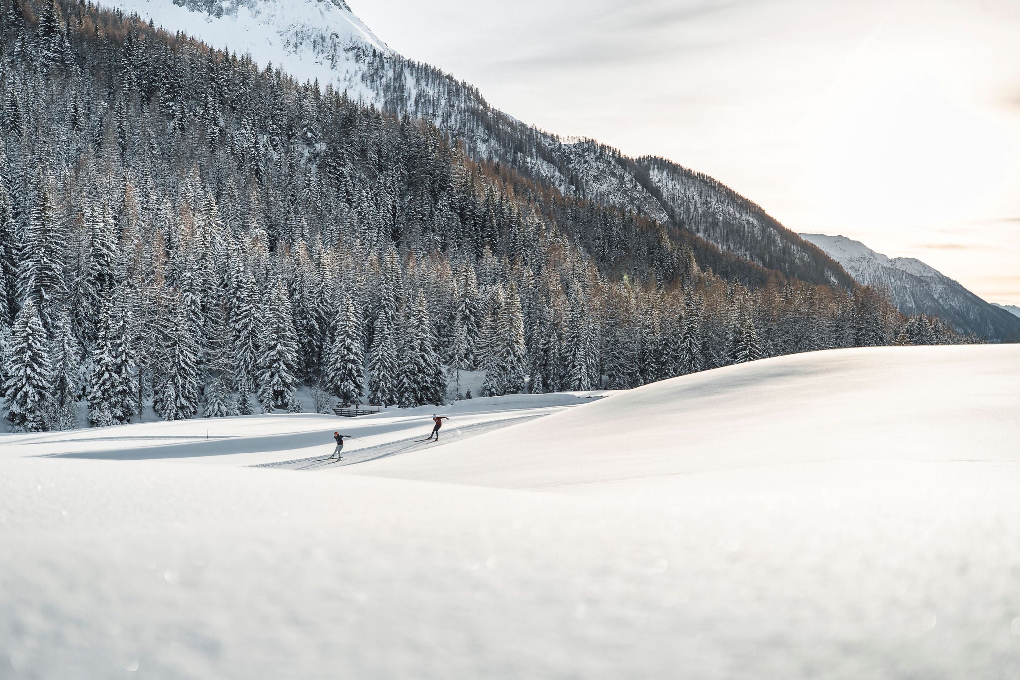 Langlaufparadies Ahrntal