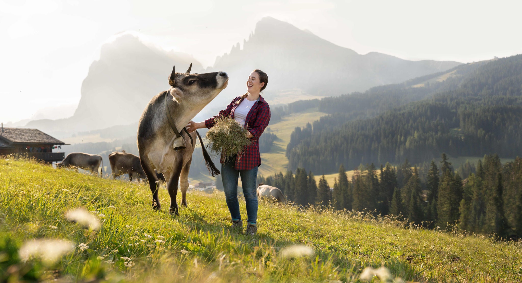 Darf nur nach Rücksprache mit dem IDM Produktmanager Milch verwendet werden. / Da utilizzare solo in accordo con il Product Manager Latte di IDM. / To be used only after agreement with the IDM Product Manager for Milk.