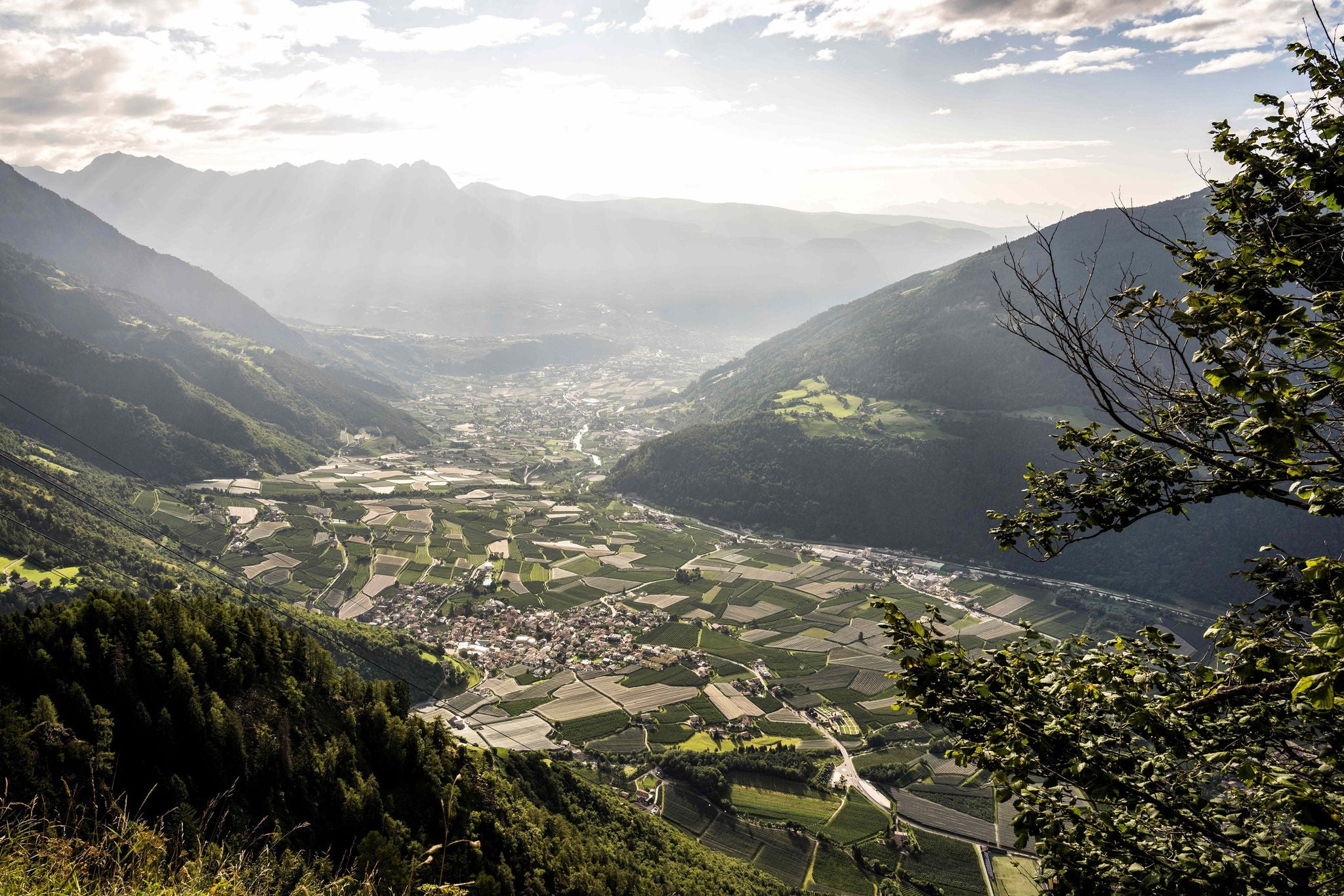 Blick von den Bergen ins Tal auf Partschins