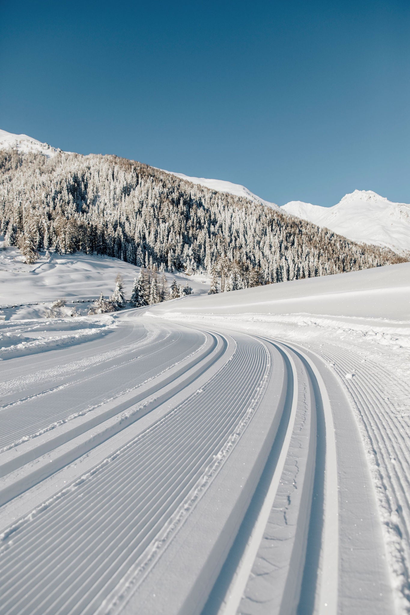 Zwei Langlaufloipen führen durch die tief verschneite Berglandschaft des Vinschgaus.