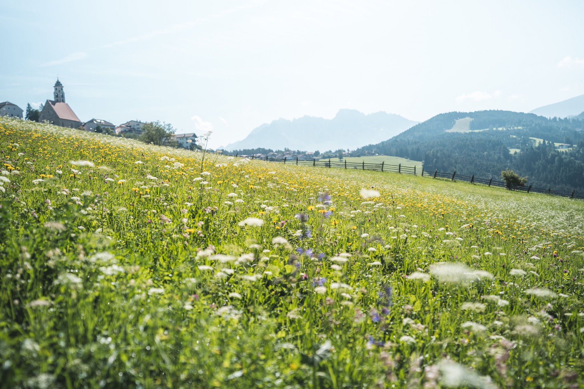 Deutschnofener Wiesen im Sommer