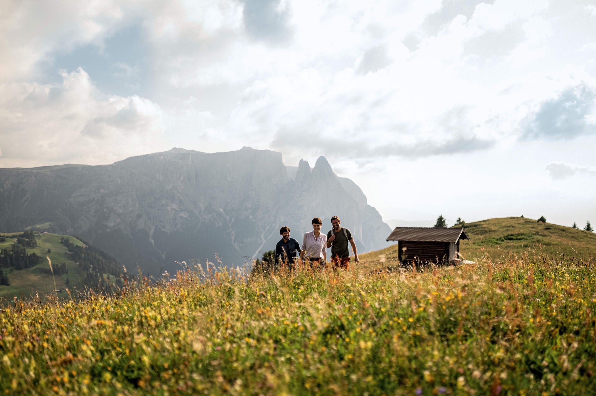Drei Personen wandern über eine blühende Sommerwiese in der Dolomitenregion Seiser Alm.