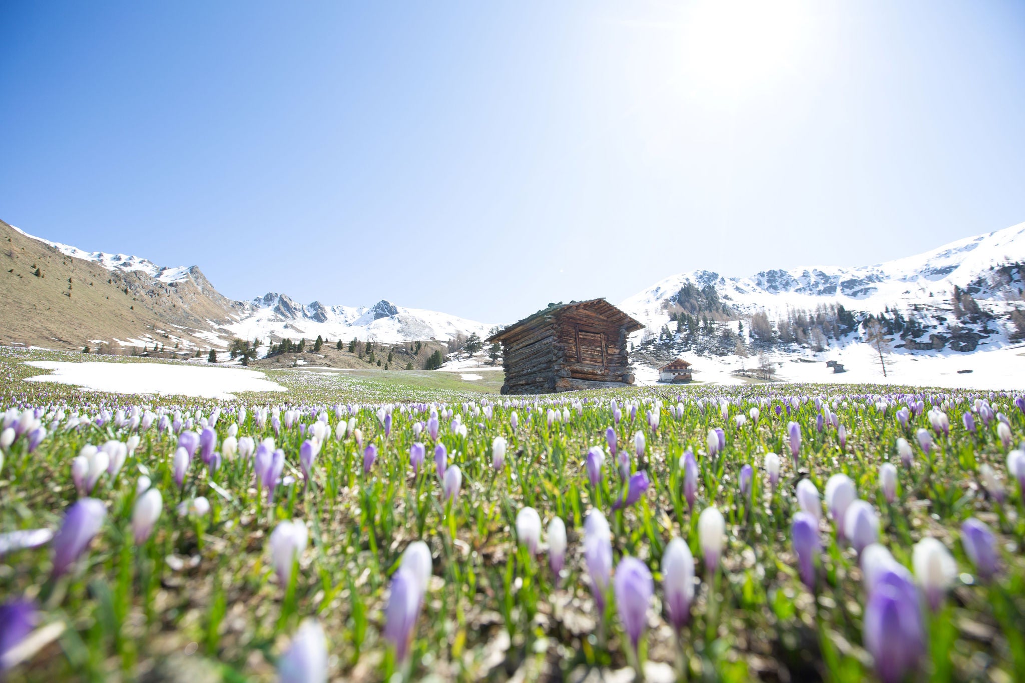 Frühlingserwachen im Gsieser Tal