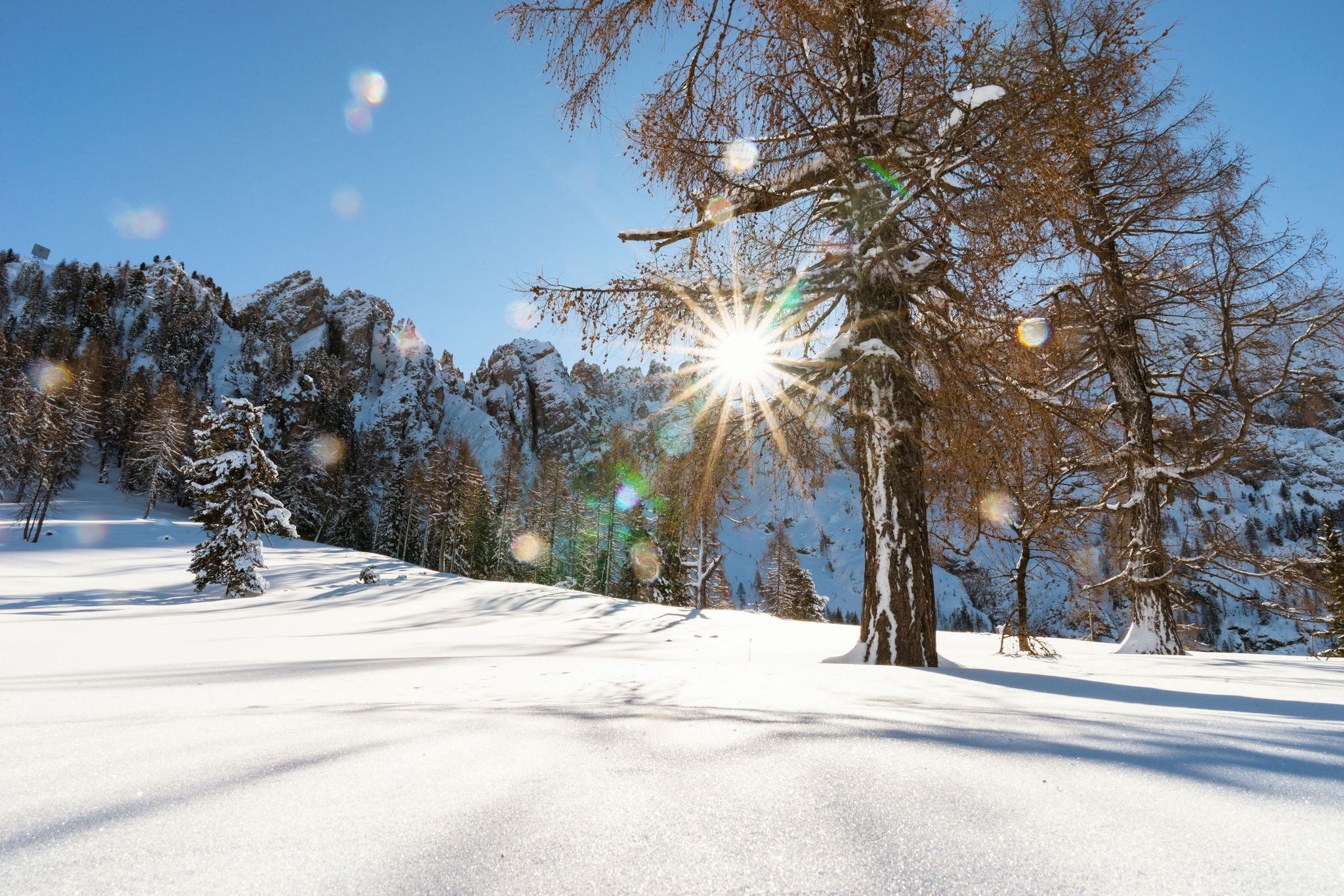 Winter im Latemargebiet