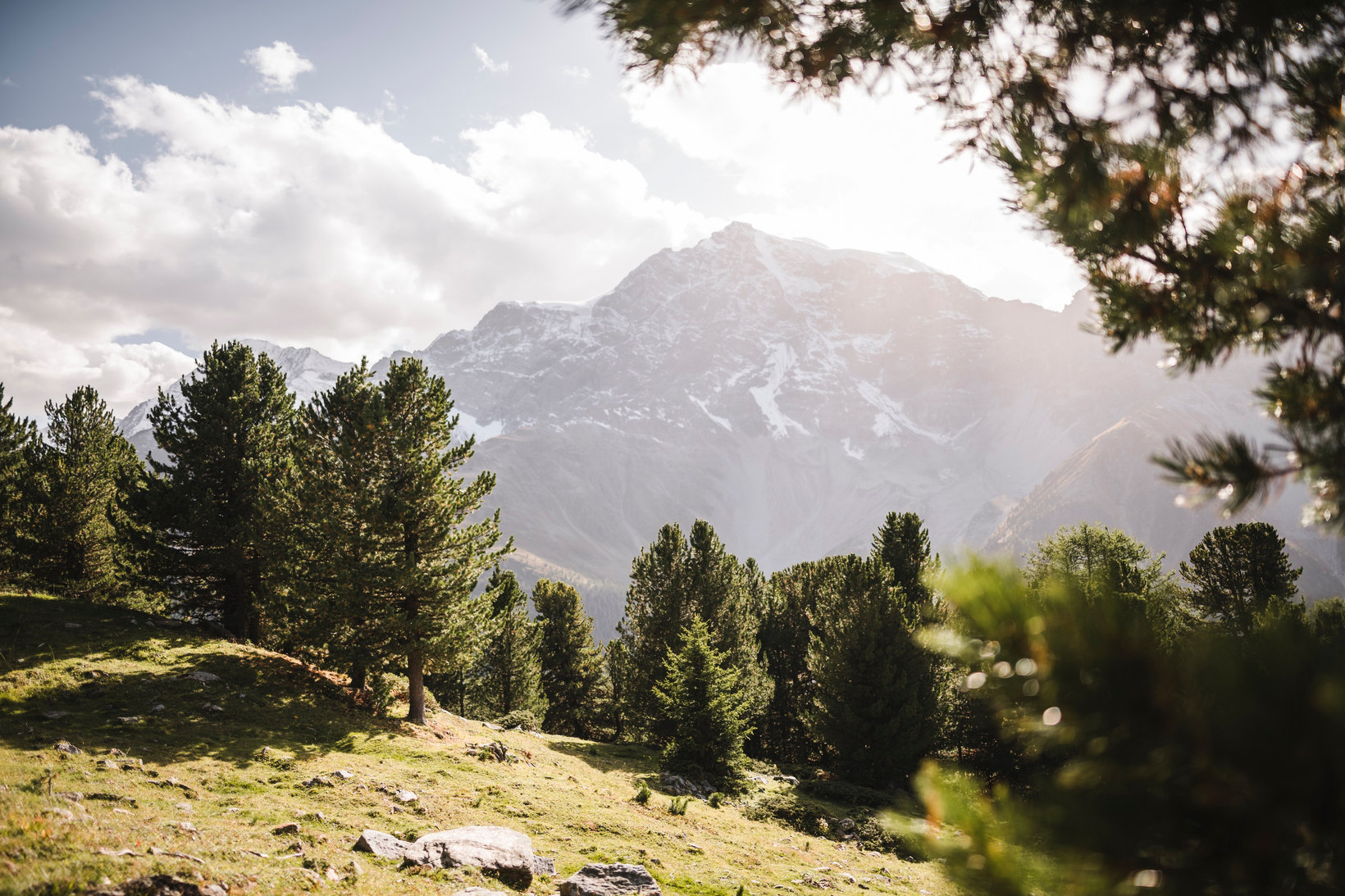 A mountain in the Stilfserjoch National Park in South Tyrol