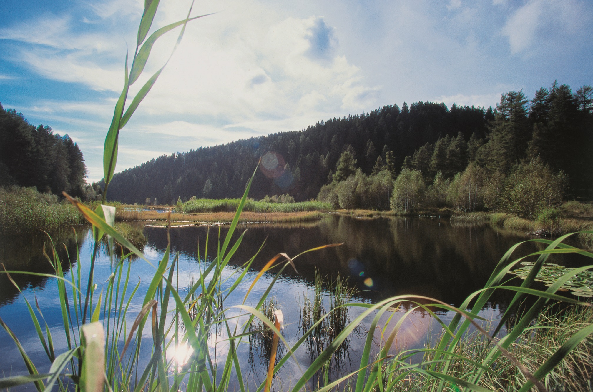 Přírodní park Trudner Horn