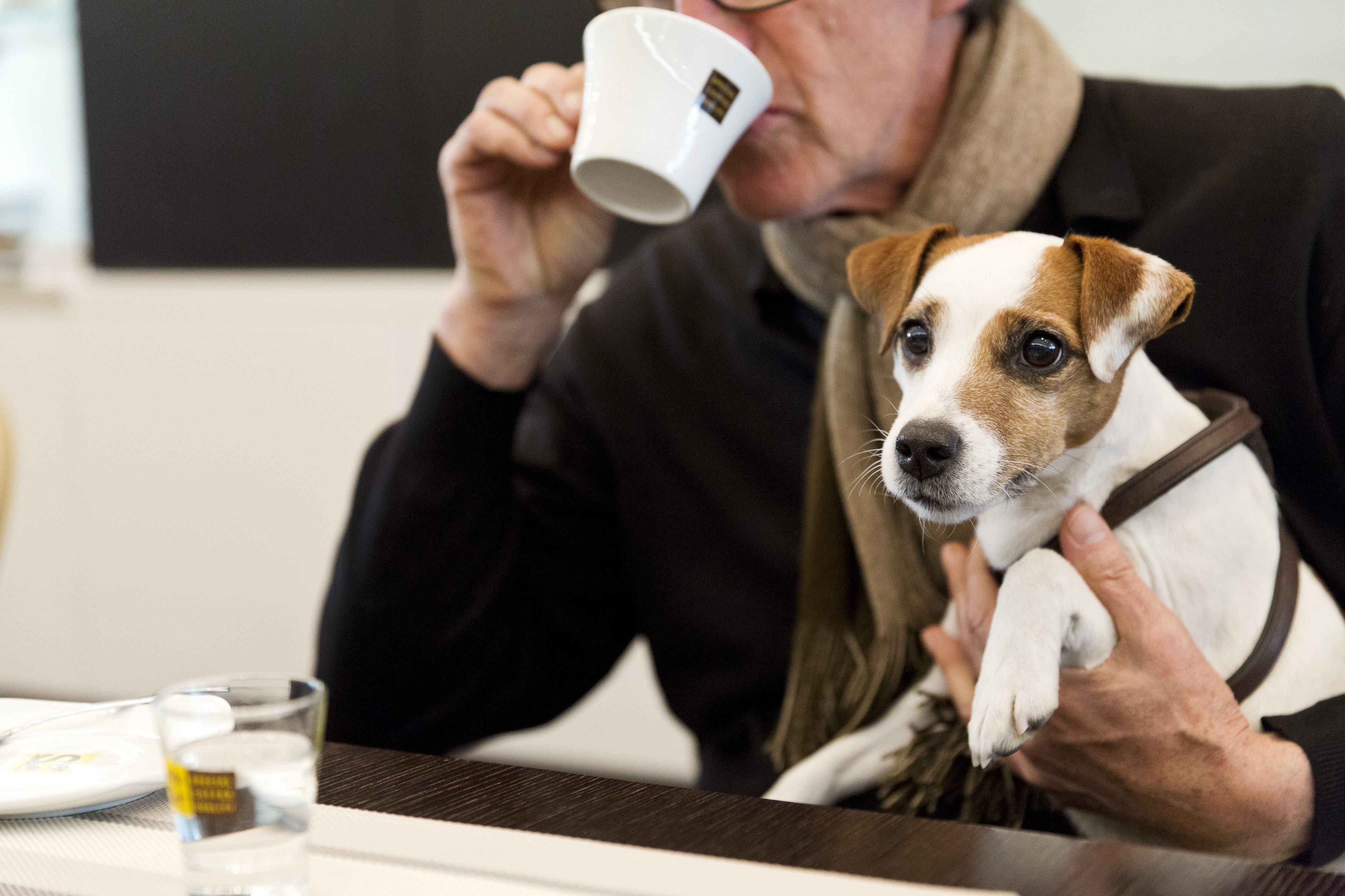 Partir en vacances avec son chien