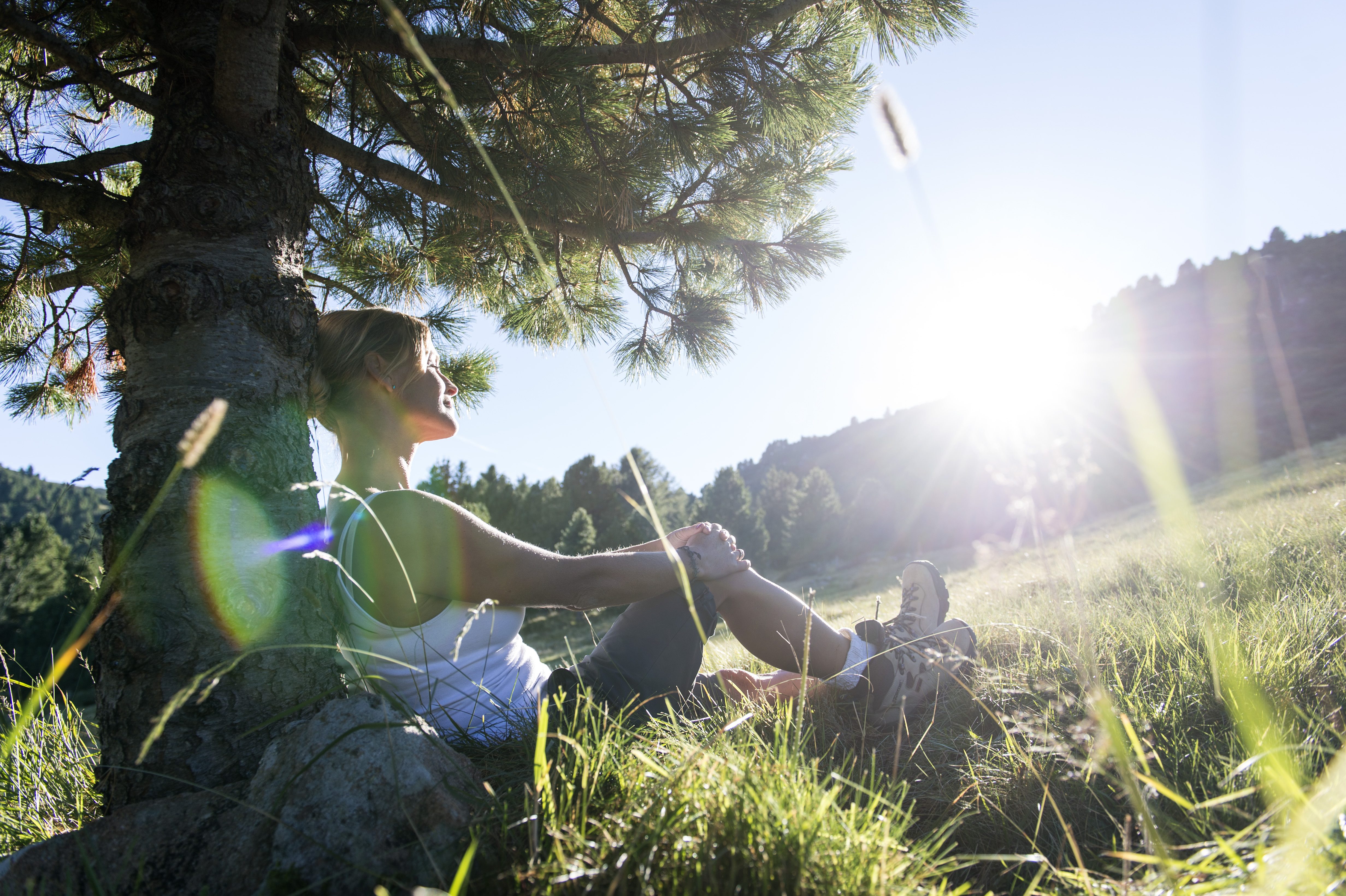 Une femme assise contre le tronc d'un arbre, en train de se détendre au soleil