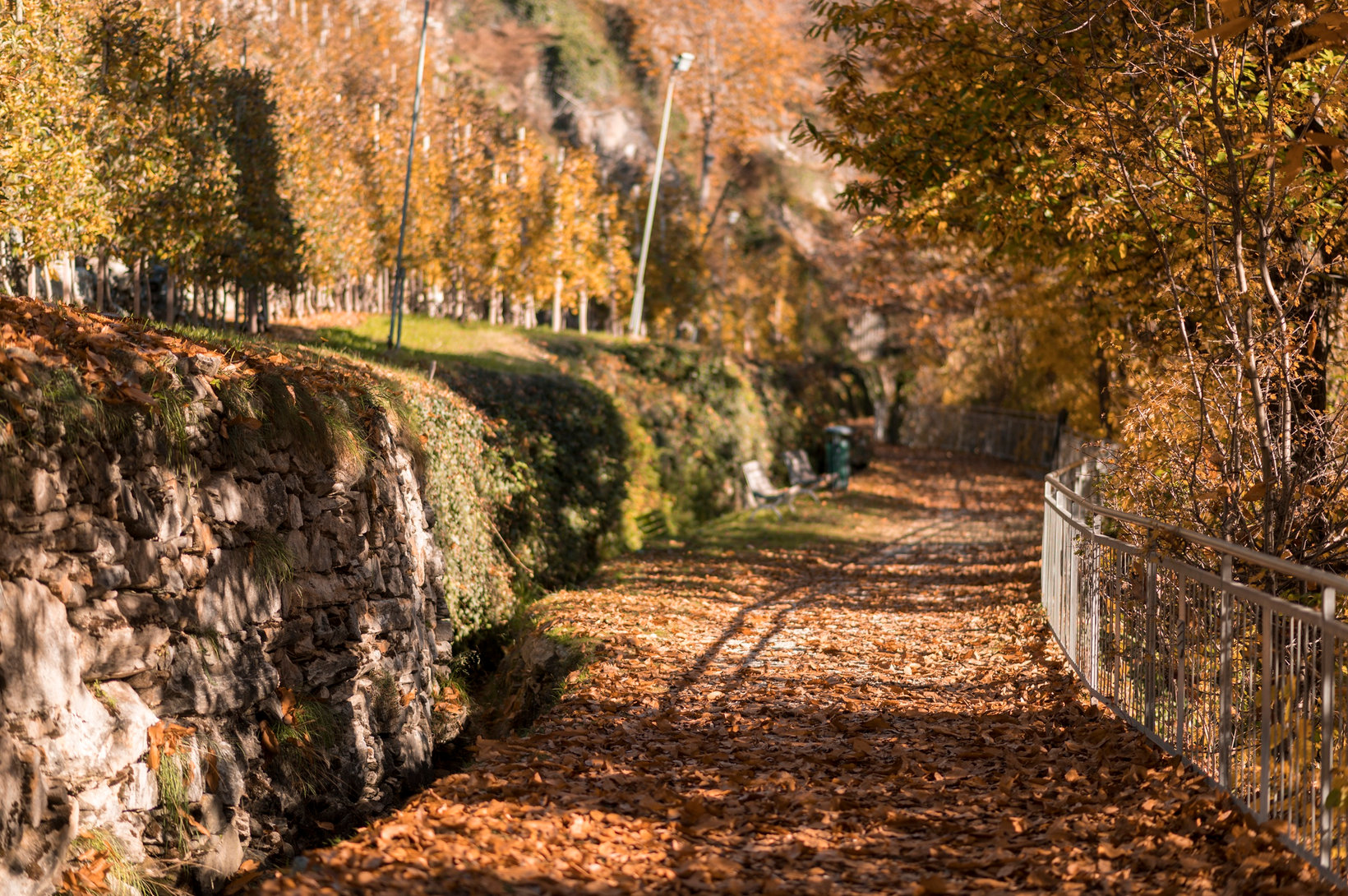 Foliage Waalweg