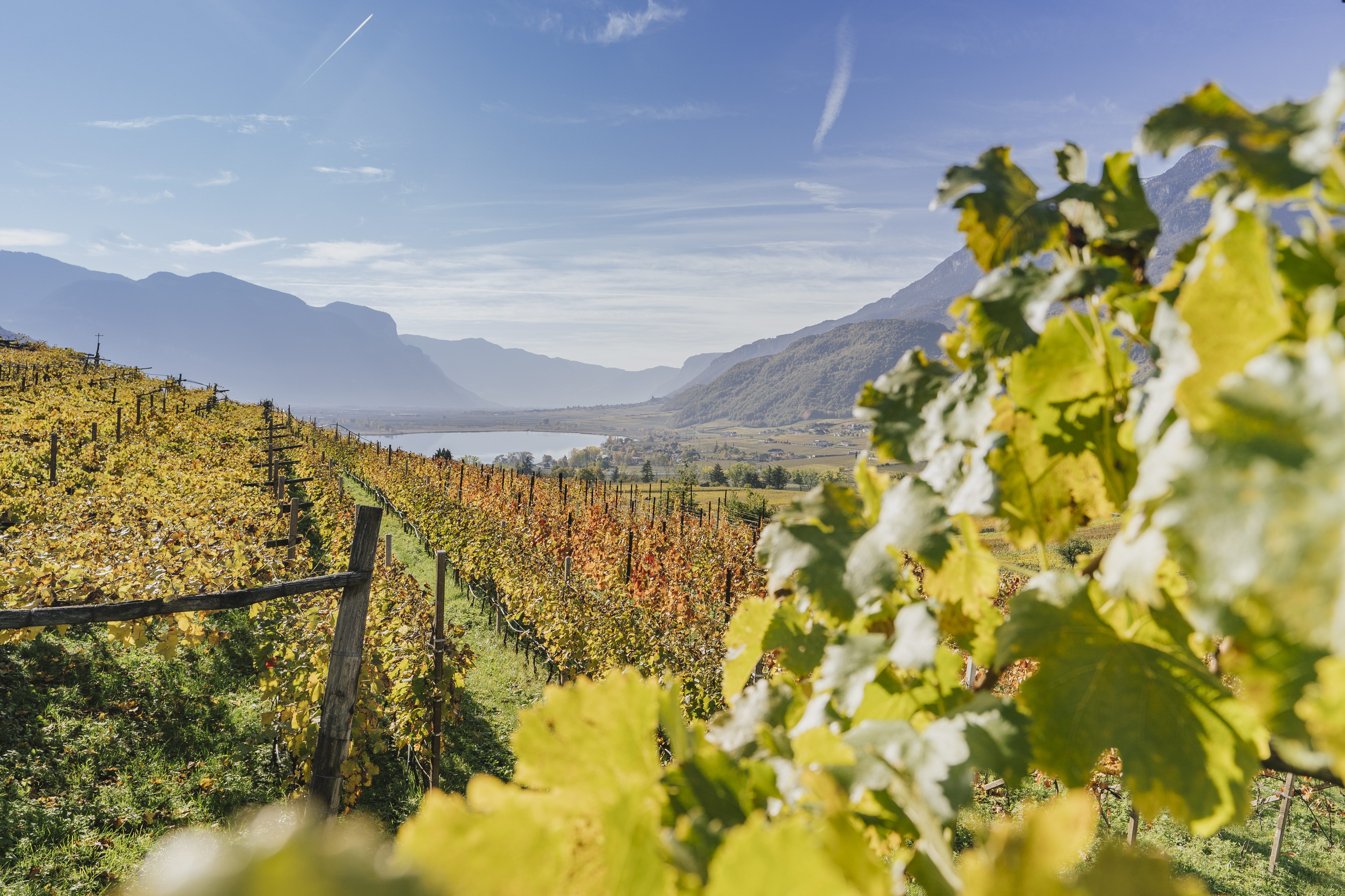 Kalterer See und Weinberge im Herbst