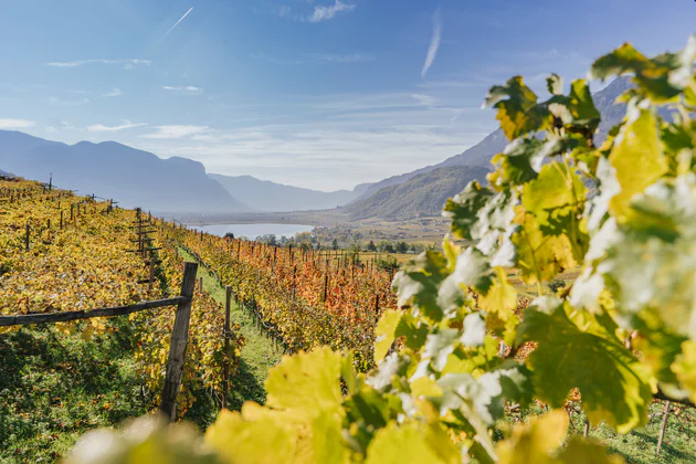 Varie immagini rappresentative dell'Alto Adige con natura, persone e architetture