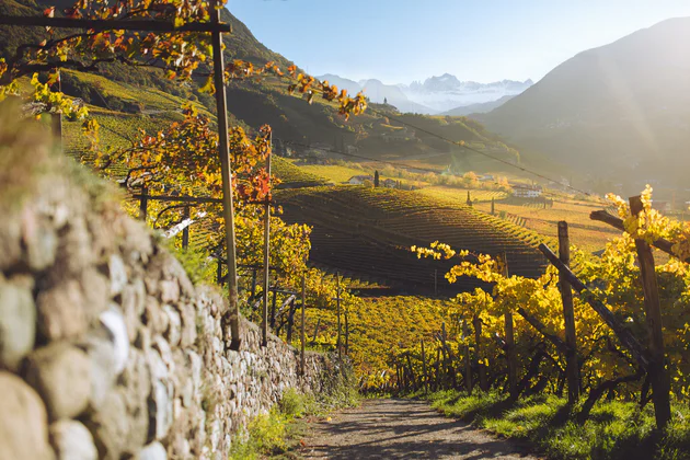 Paesaggio autunnale con vista sul Catinaccio