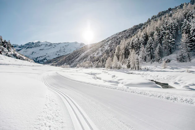 Verschiedene Bilder die Südtirol präsentieren, Natur, Menschen und Architektur