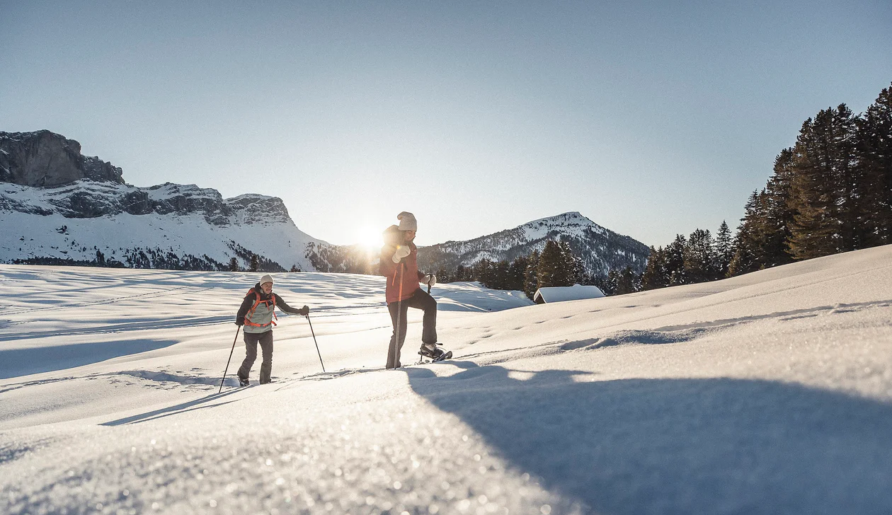 All snowshoe hikes in South Tyrol