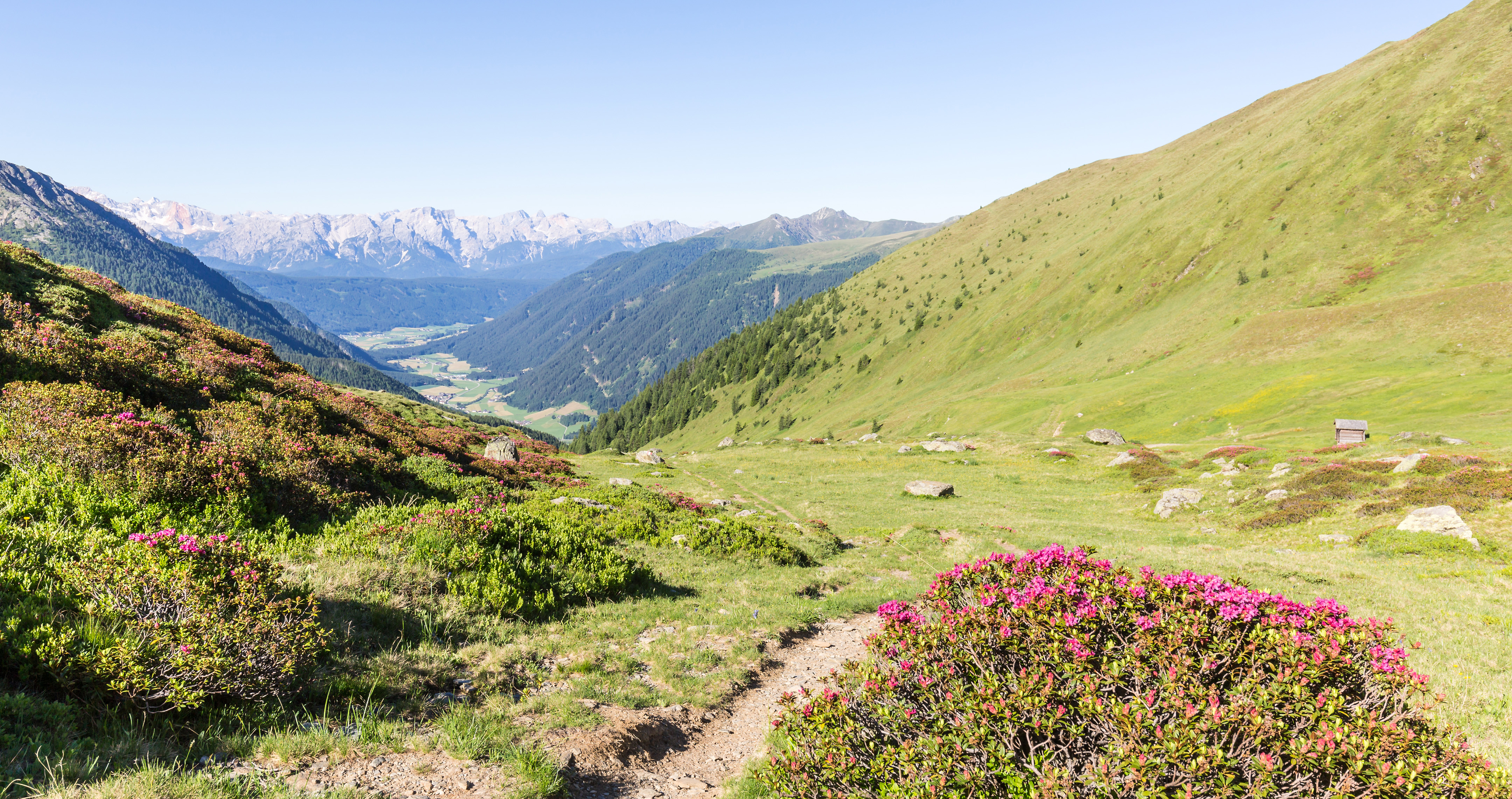 Bergfrühling im Gsieser Tal