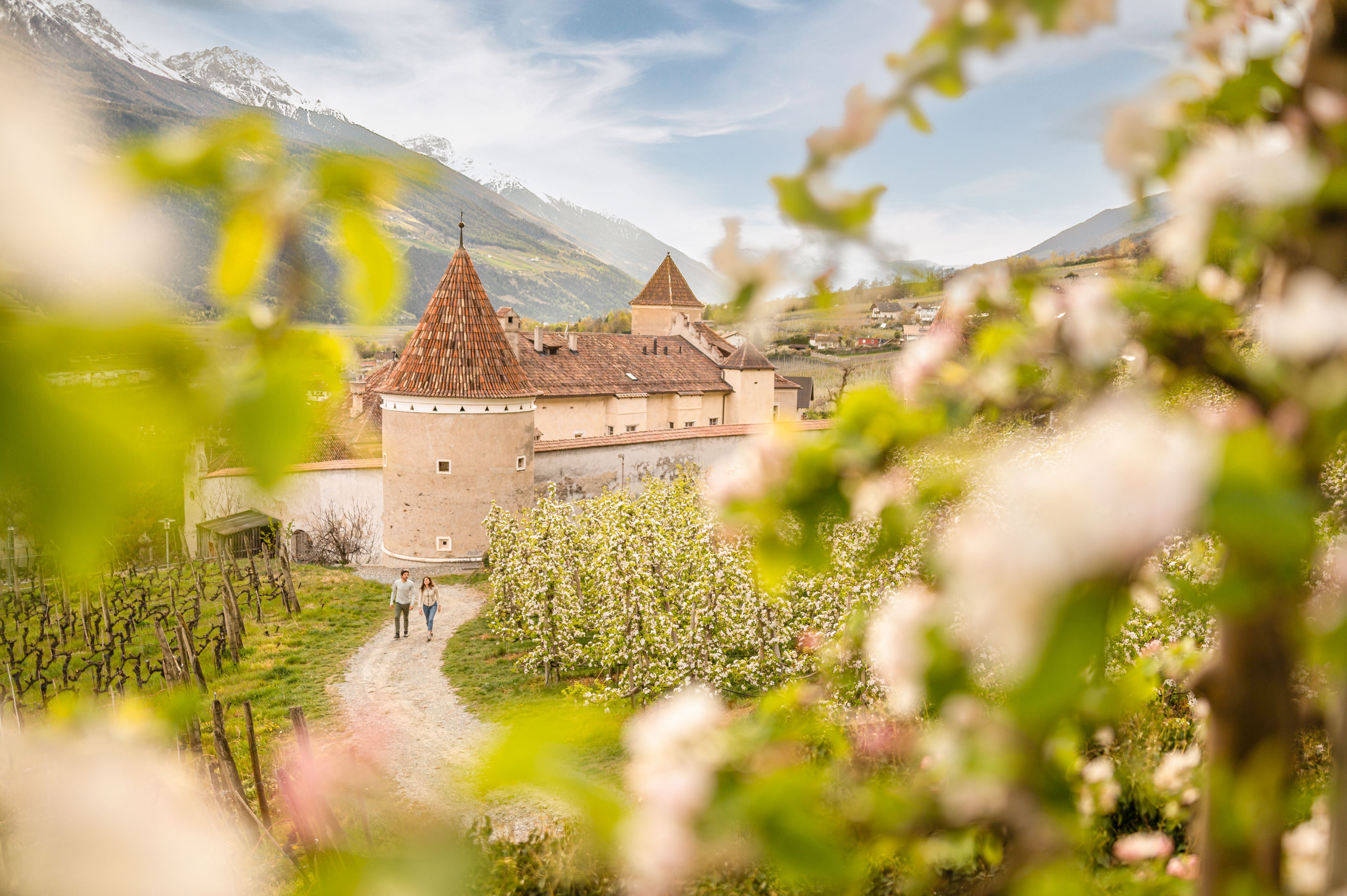 Frühling im Vinschgau