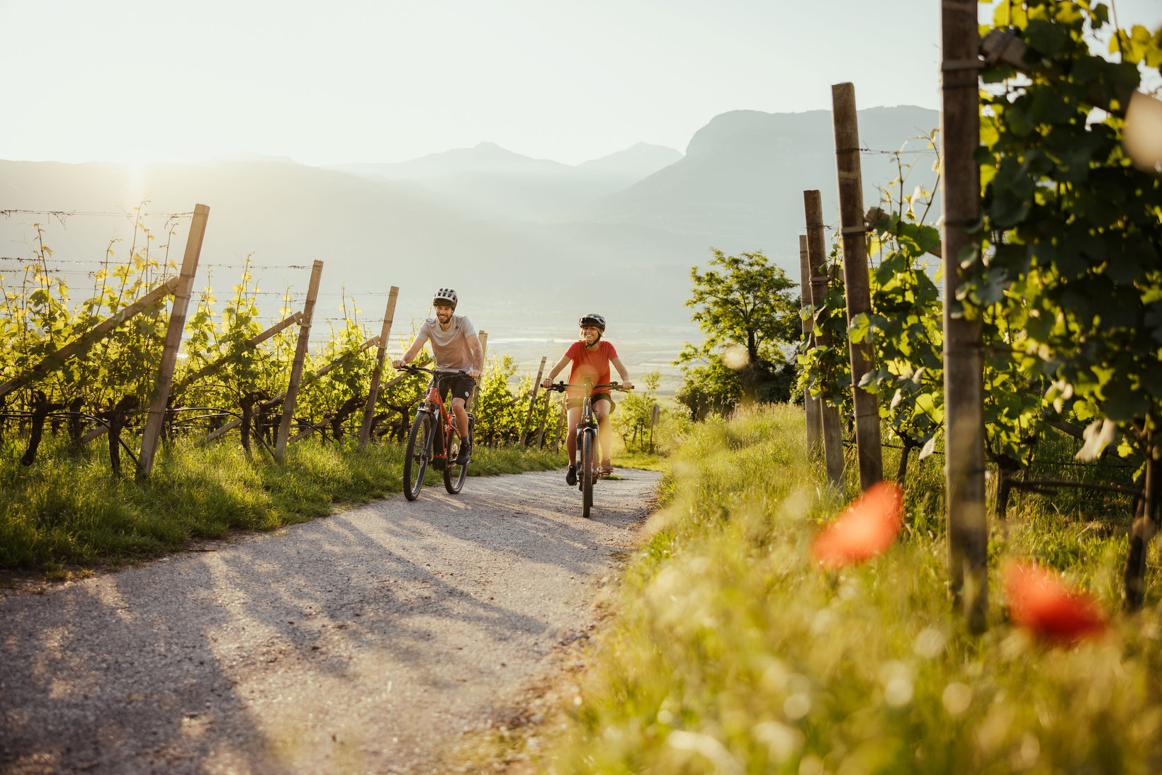 Biken Frühling Weinstraße