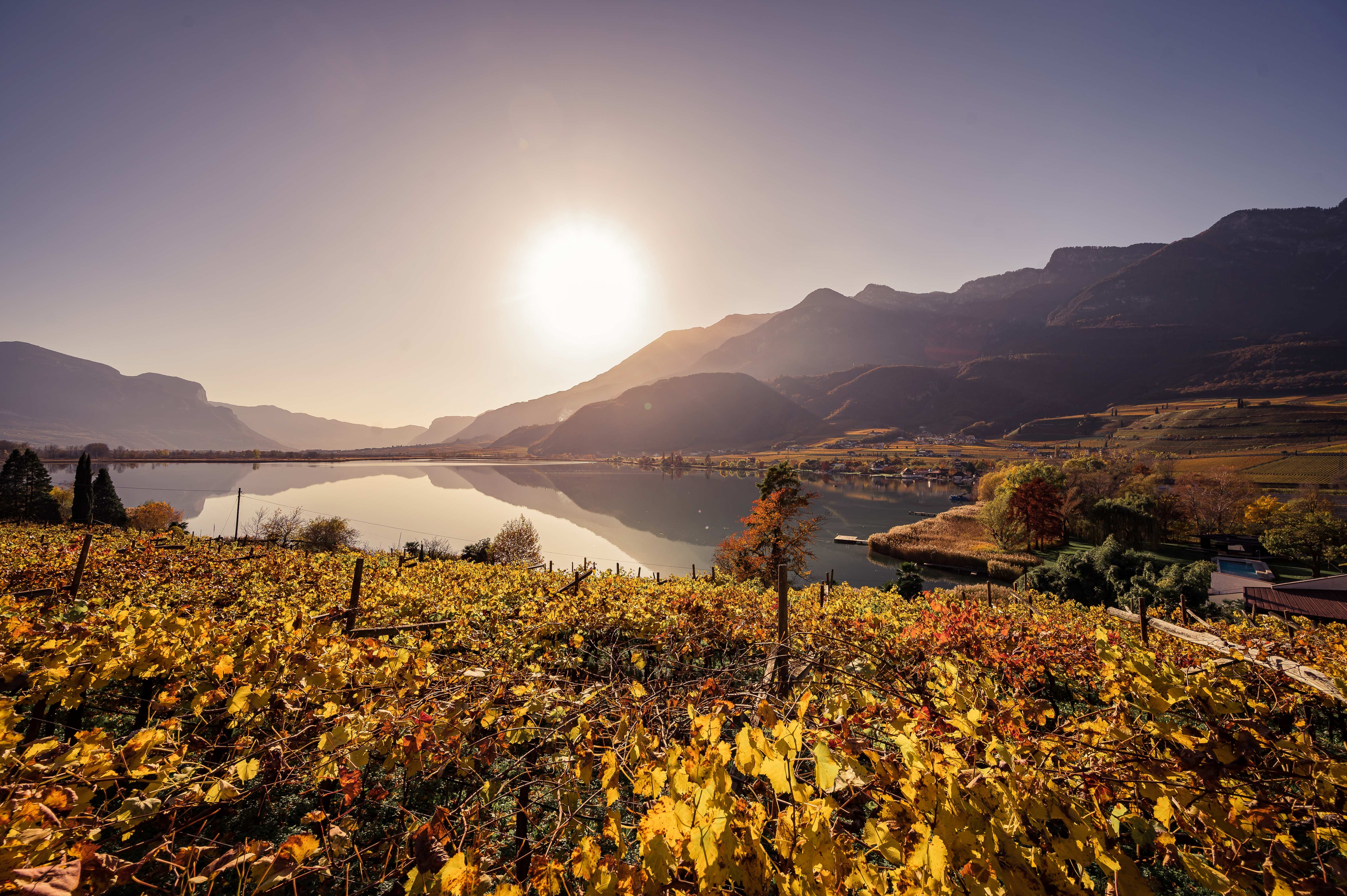 Herbstimmung am Kalterer See an der Südtiroler Weinstraße