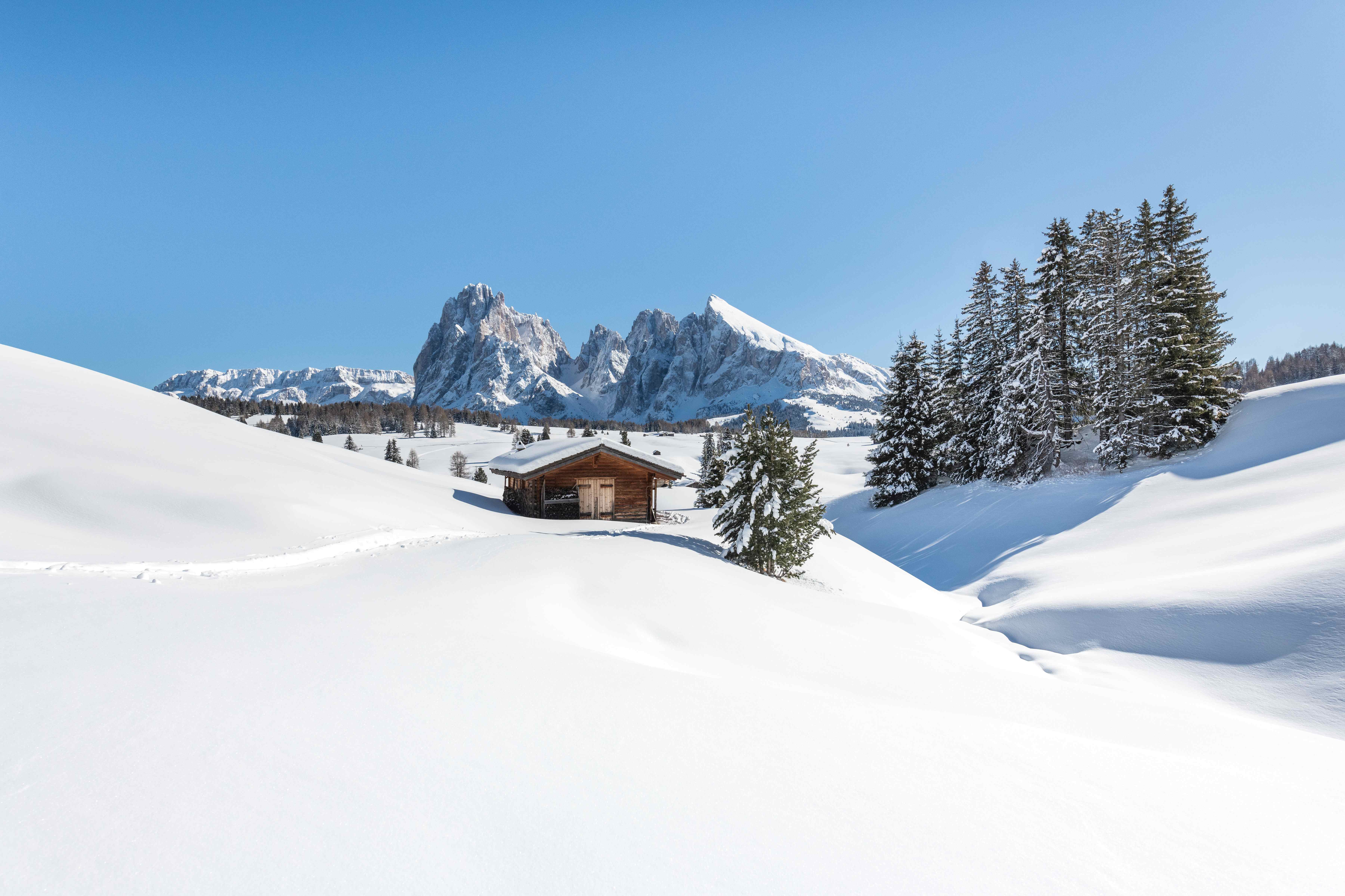 Paesaggio invernale con montagne innevate sullo sfondo