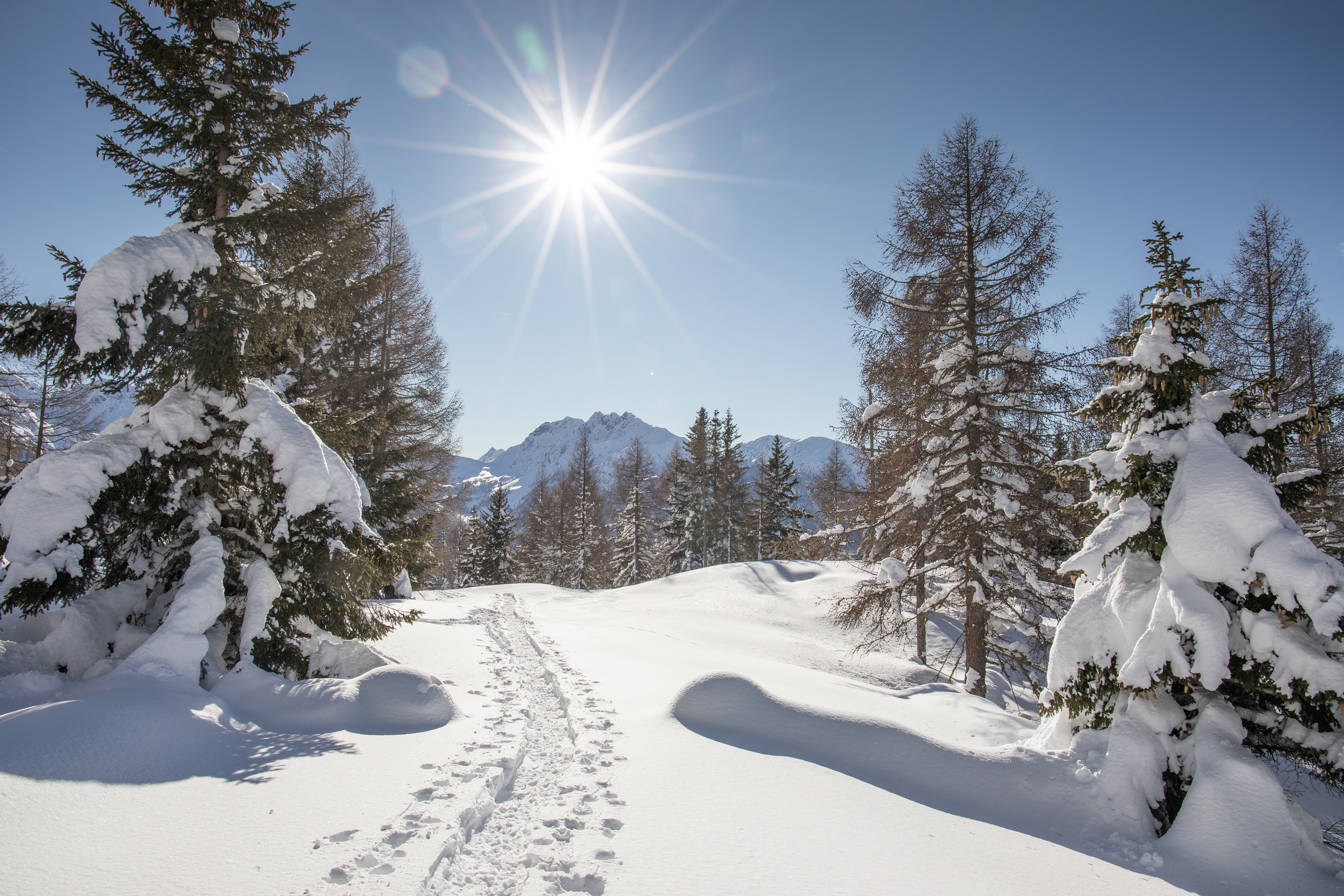 Winter im Ultental