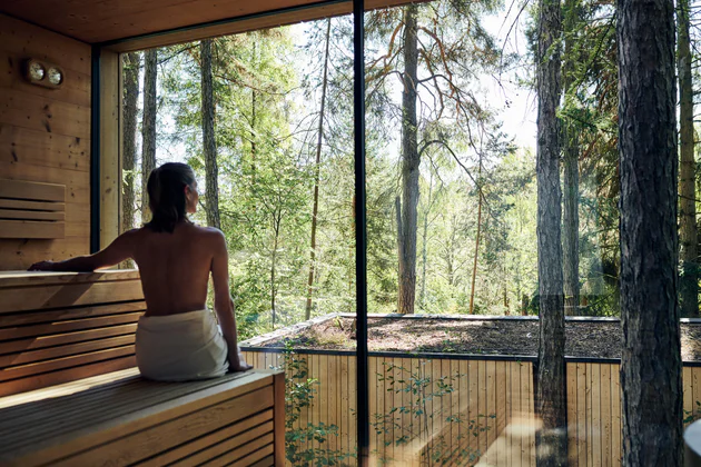 Sauna mit Waldblick