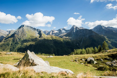 Meadow with a mountain range in the background in the Ahrntal valley