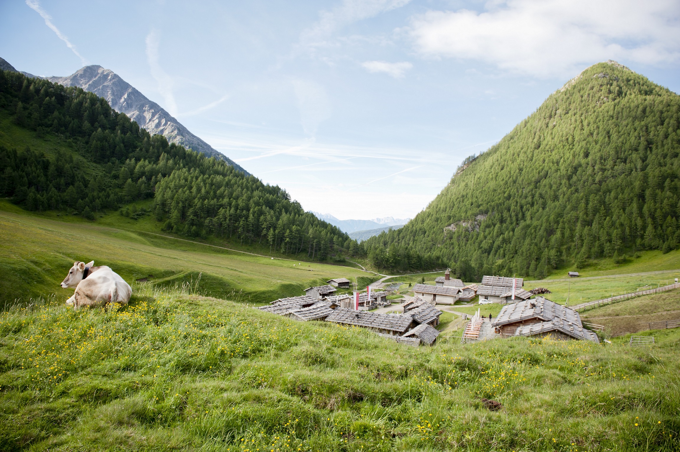 Inmitten grüner Wiesen liegt das alte Bergdorf Fane Alm.