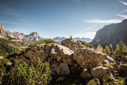 Eine Frau auf einem Gipfel in Alta Badia im Sommer