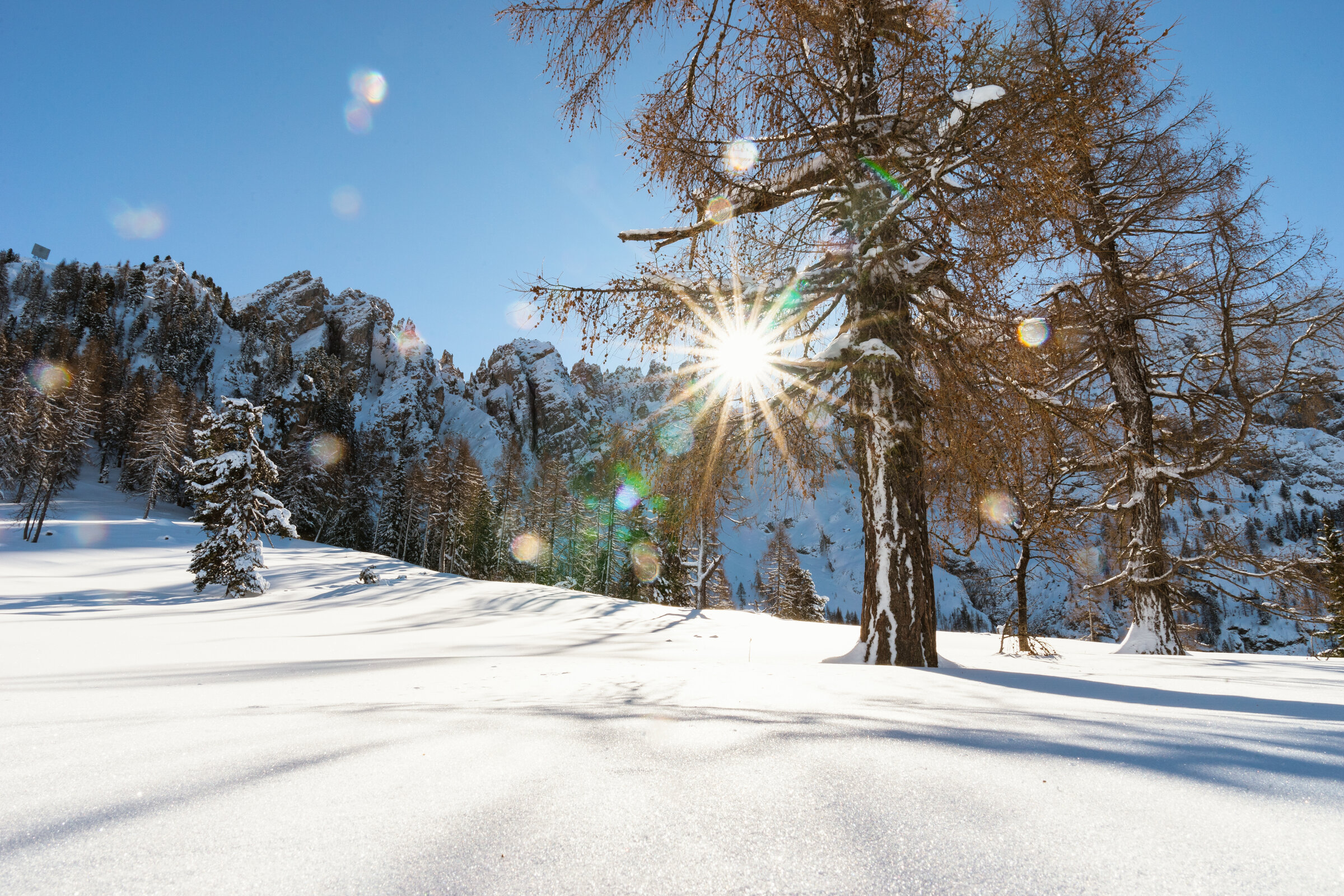 Paysage recouvert d'une épaisse couche de neige dans la vallée d'Eggental/Val d'Ega