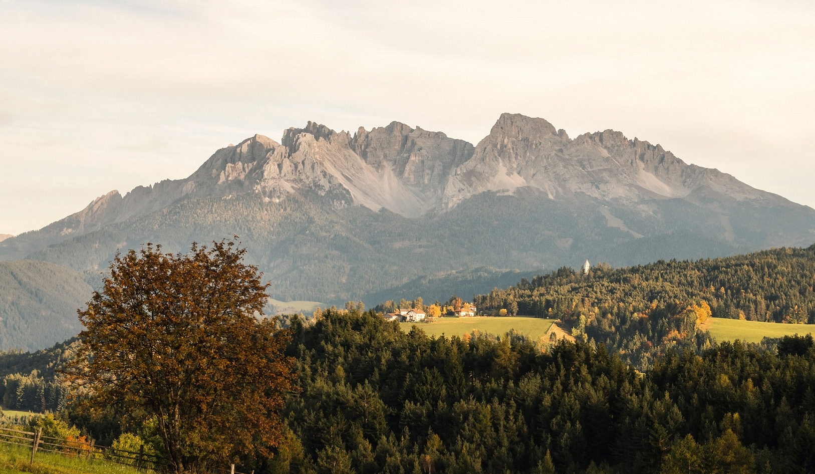 Vue sur une prairie recouverte de crocus dans la vallée d'Eggental, dans les Dolomites