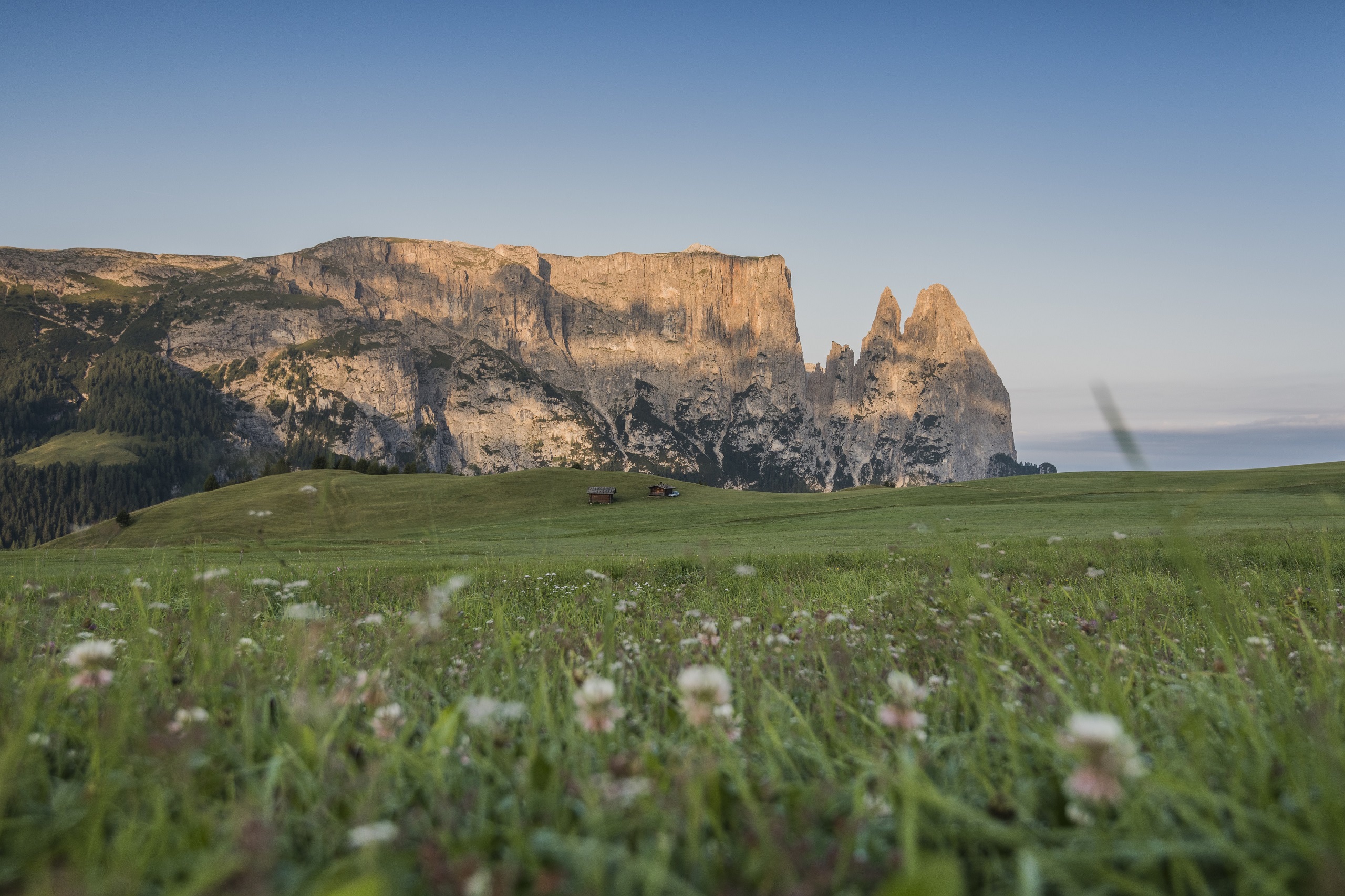 Pohled ze Seiser Alm na Langkofel a Plattkofel