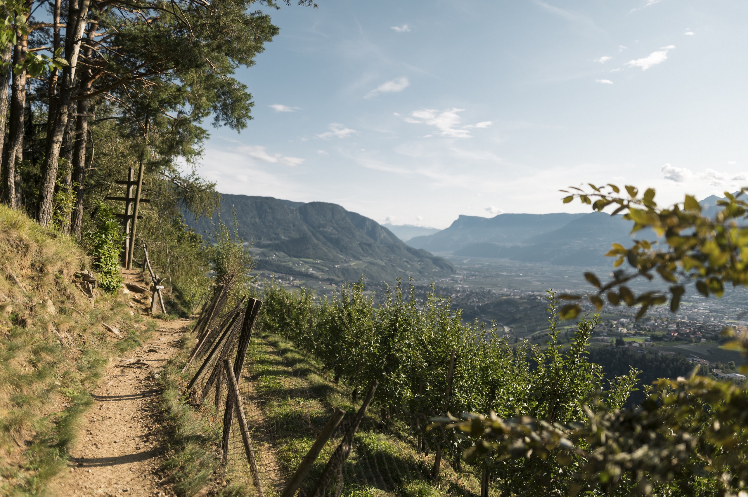 View over a valley on the Waalwege canal trails