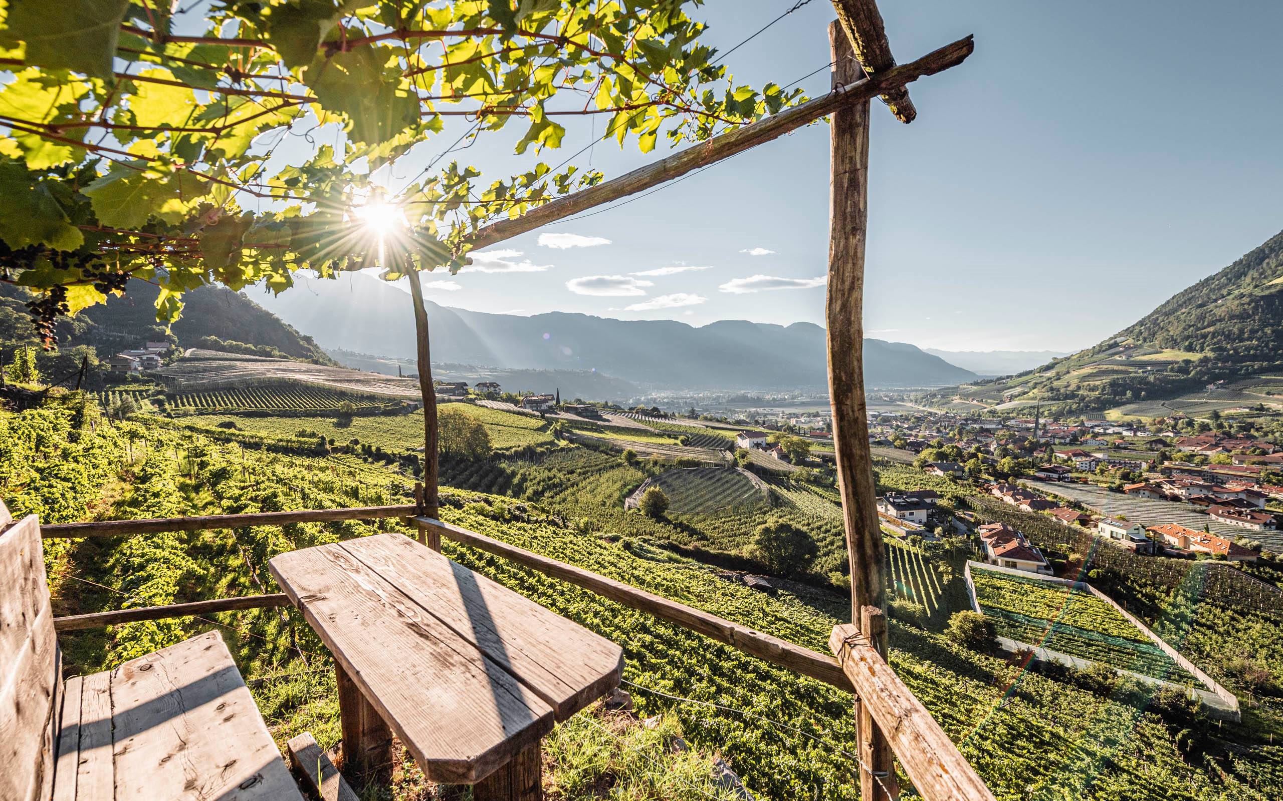 Pohled na Algund obklopený horami, vinicemi a ovocnými sady