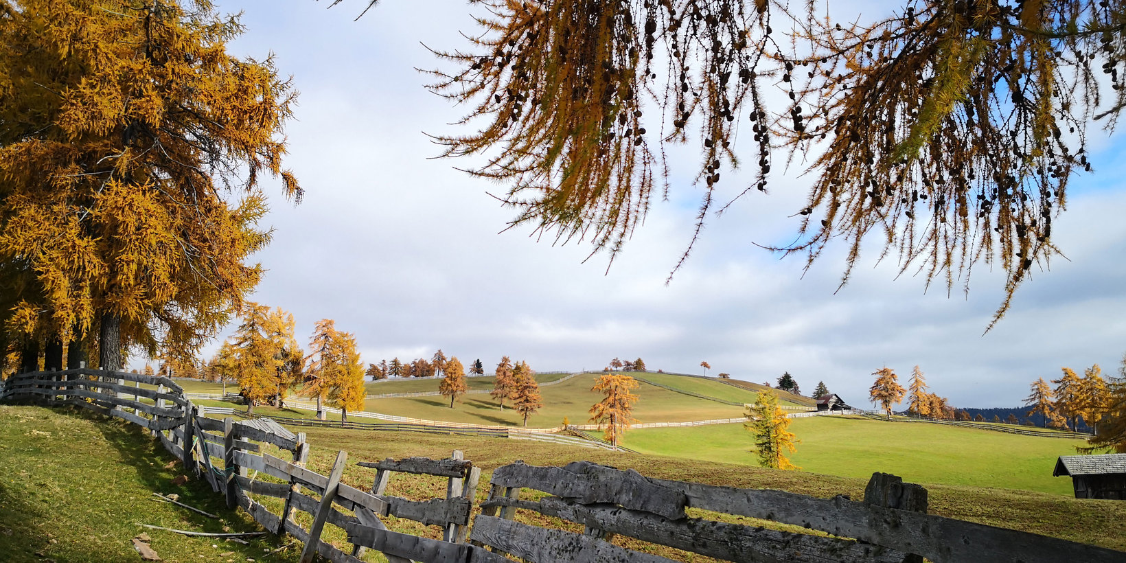 Altopiano di Salto in autunno