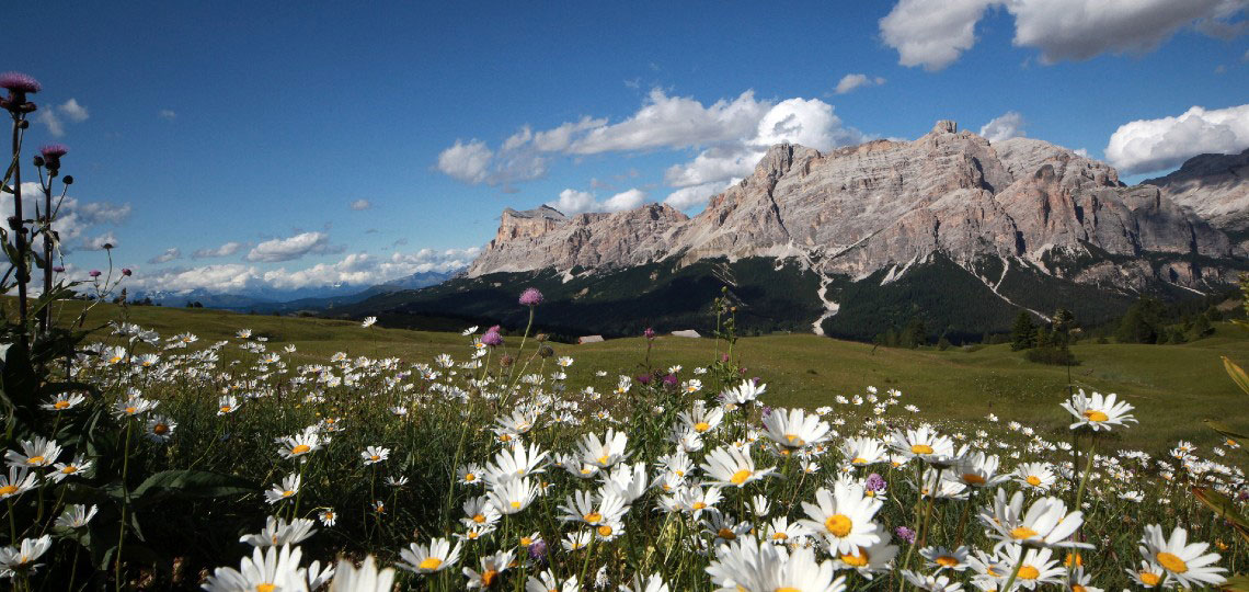 La Ila/La Villa – San Ćiascian/San Cassiano – Badia