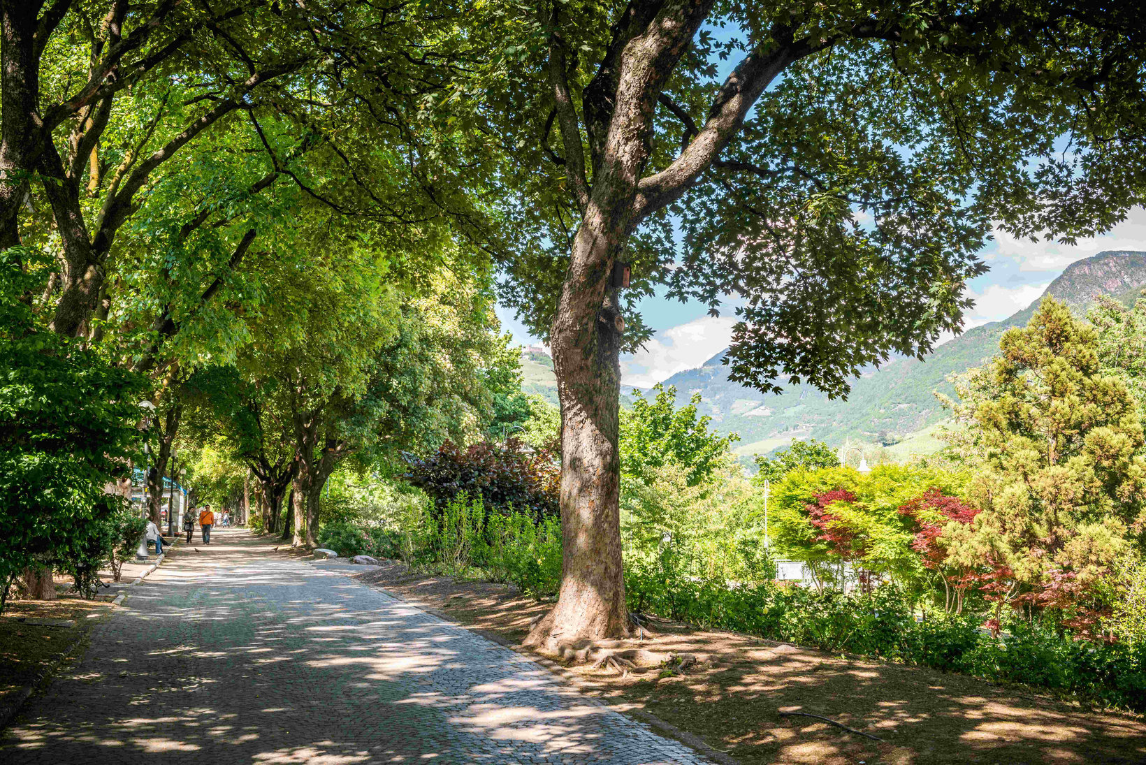 Wasserpromenade