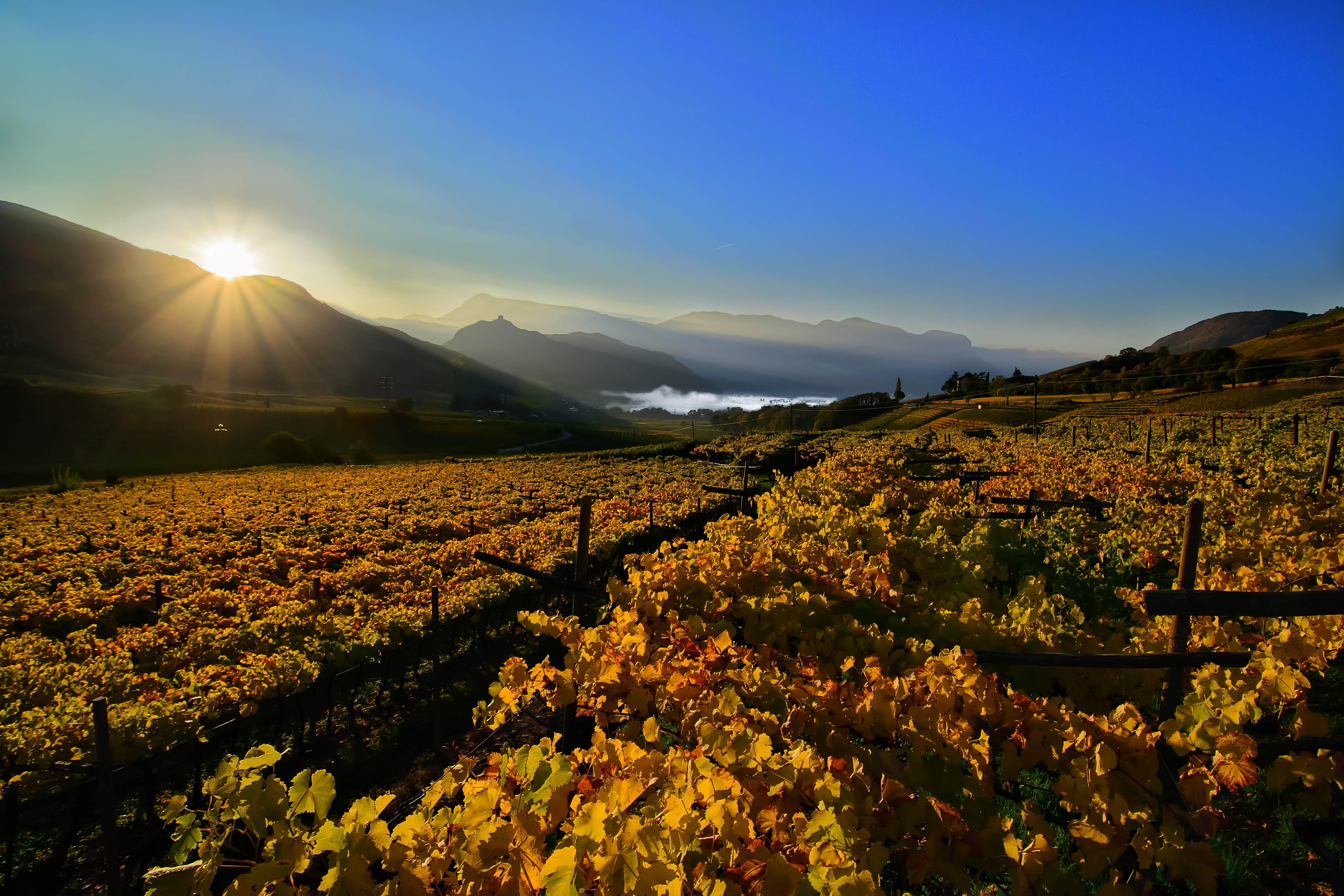 Ambiance automnale sur le lac de Kalterer See/Caldaro, sur la route des vins du Sud-Tyrol