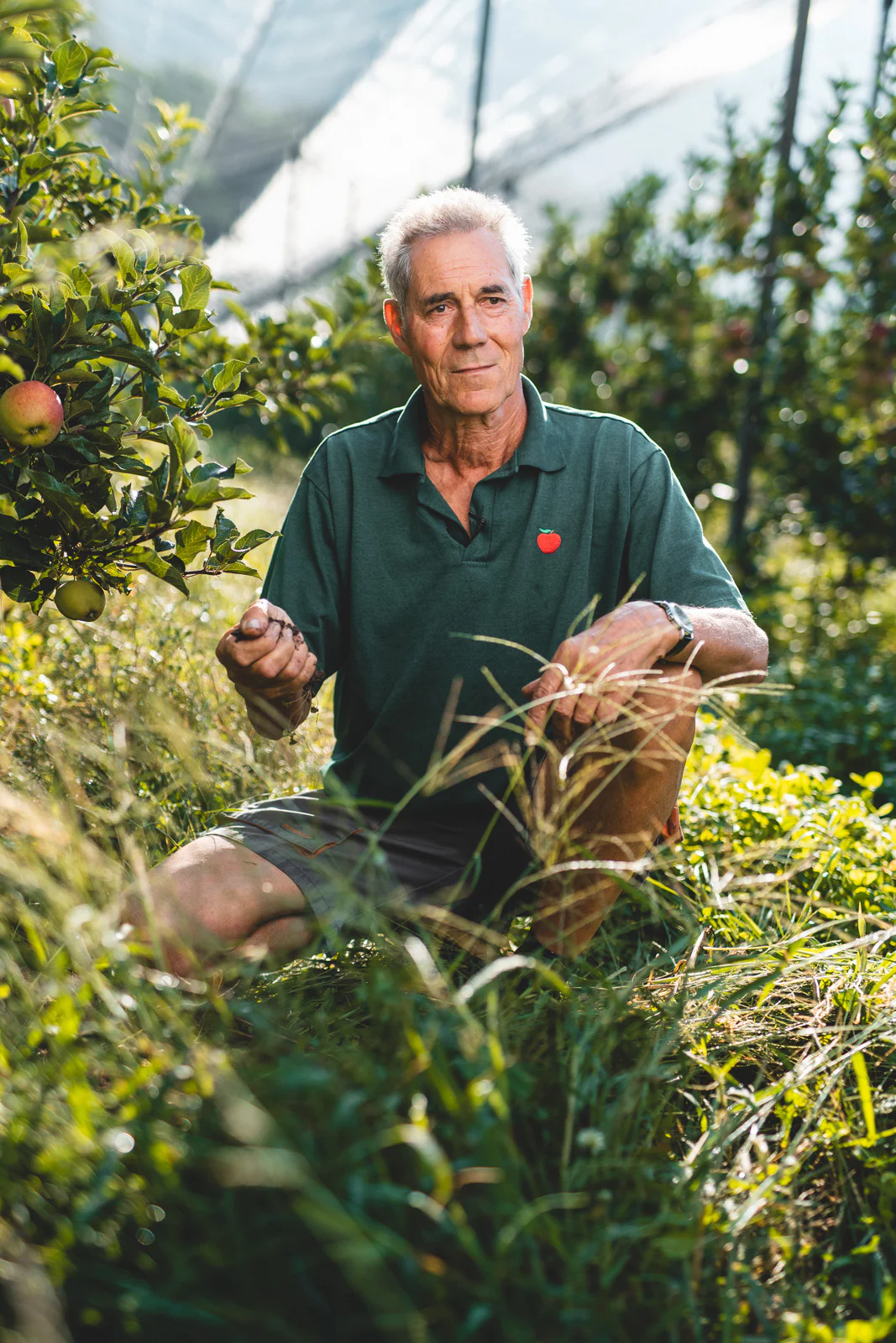 Il coltivatore di mele Siegfried Schnitzeri controlla il terreno del suo meleto